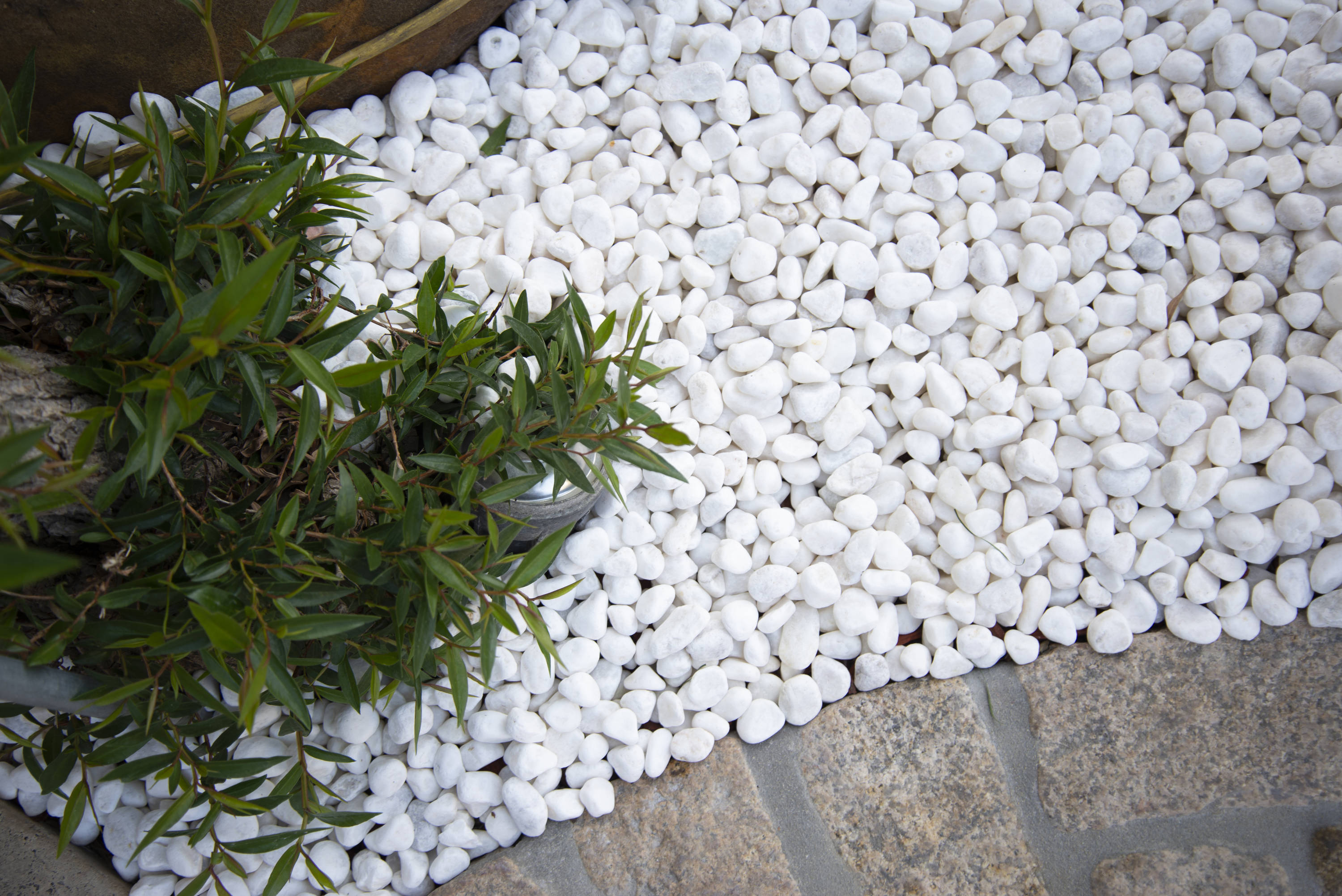 WonderLand 0.4-cu ft 30-lb White Decorative Rock