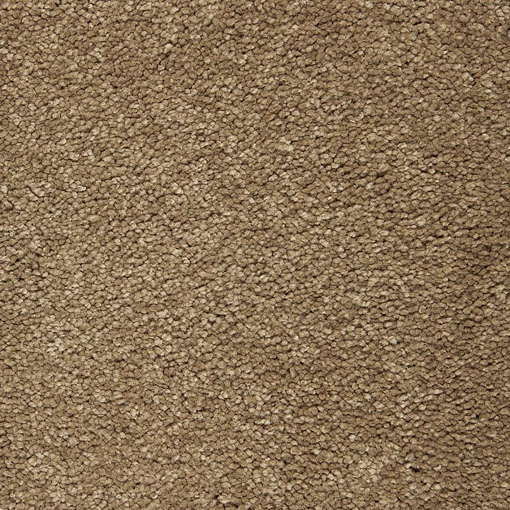 STAINMASTER PetProtect STP55-L022-0808 (Sample) Purrfectly Pampered Longhorn Brown 60-oz sq yard Triexta Textured Indoor Carpet