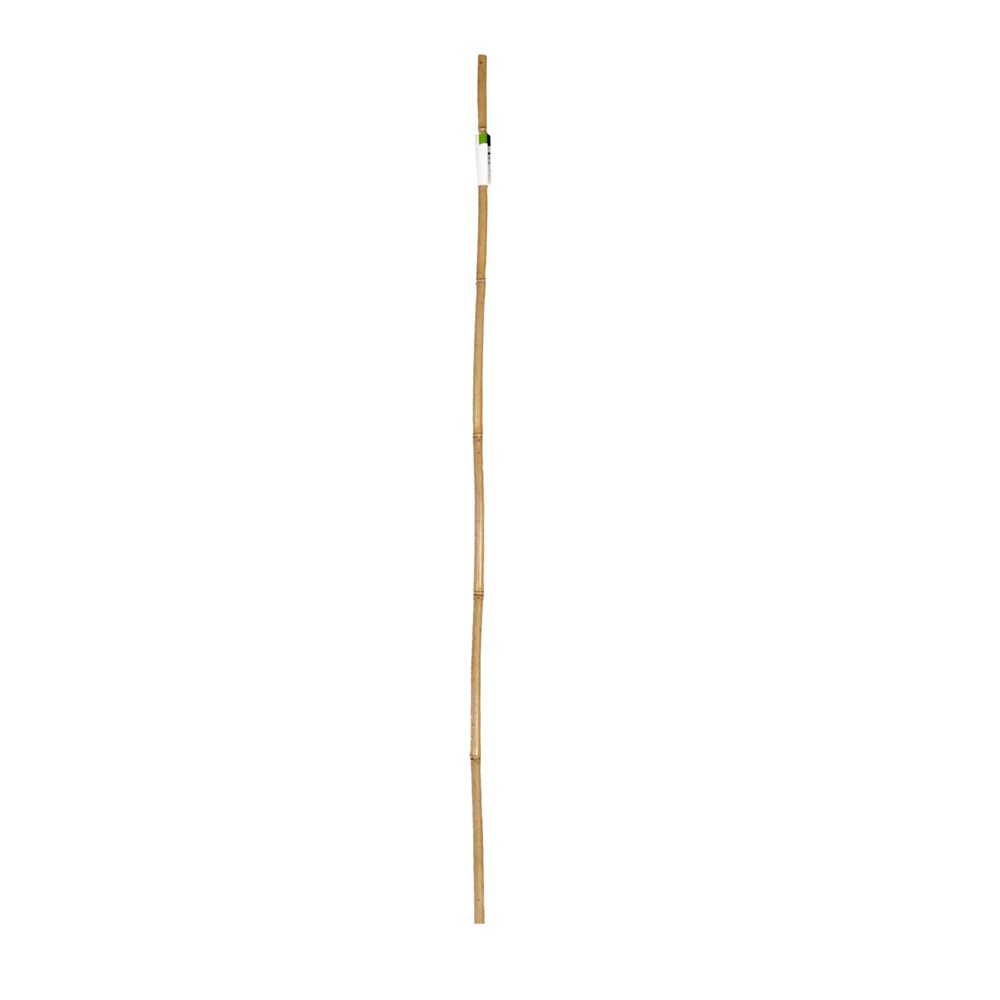Project Source 831190 48-in Landscape Stake