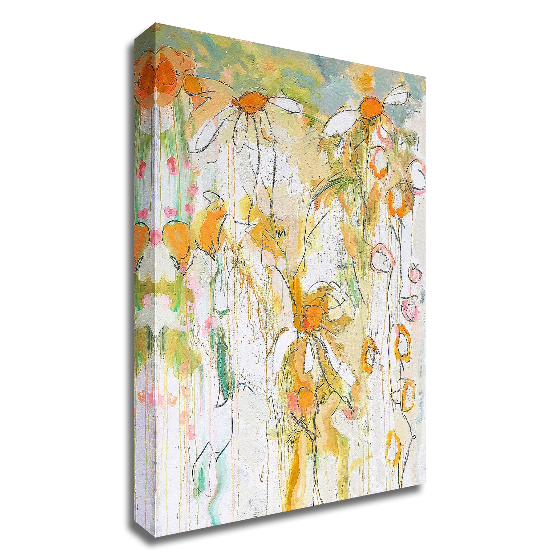 Tangletown Fine Art 8A567DC-2024 Sunshine Per Anders 24-in H x 20-in W Abstract Print on Canvas