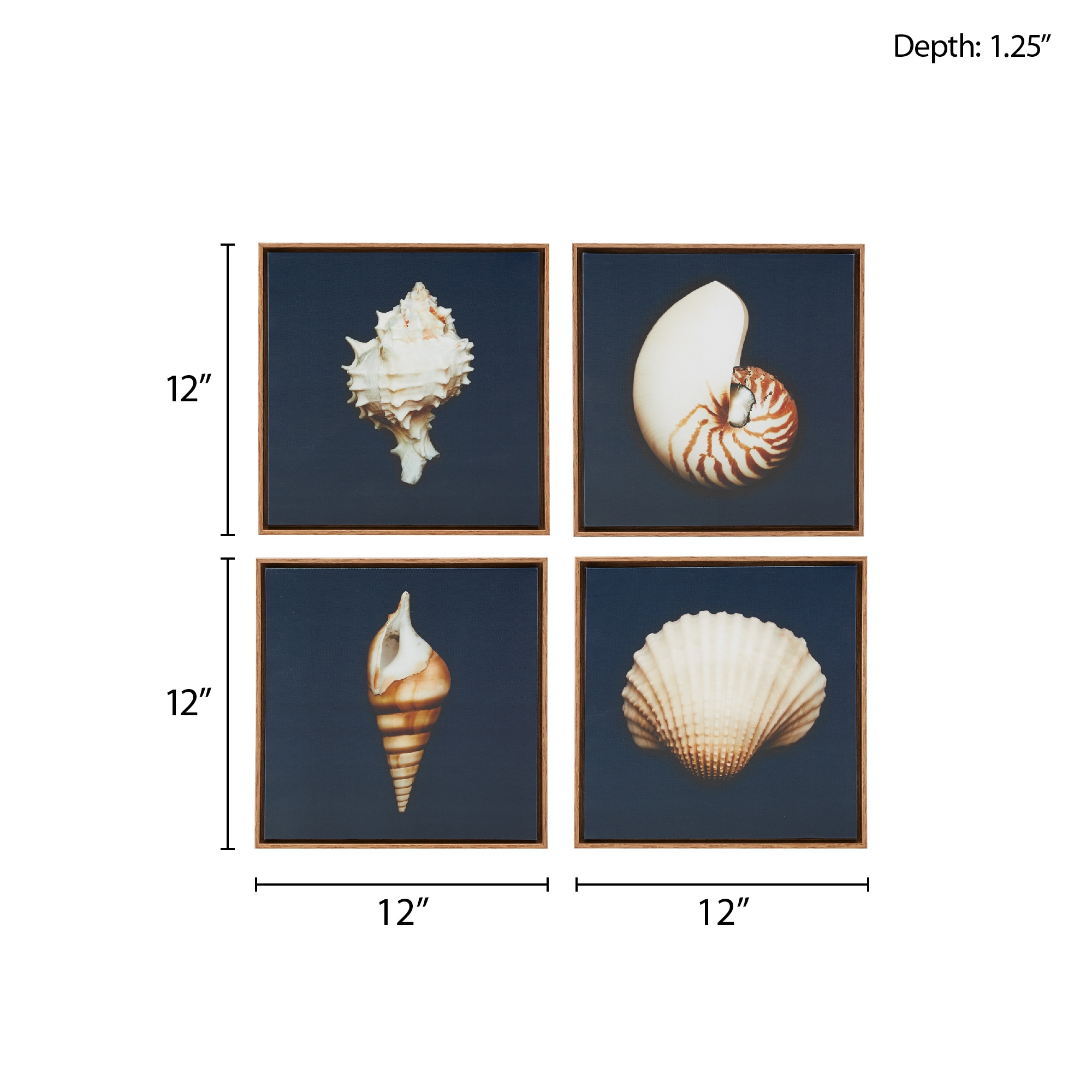 Navy Blue Coastal Seashells Framed Canvas Set of 4
