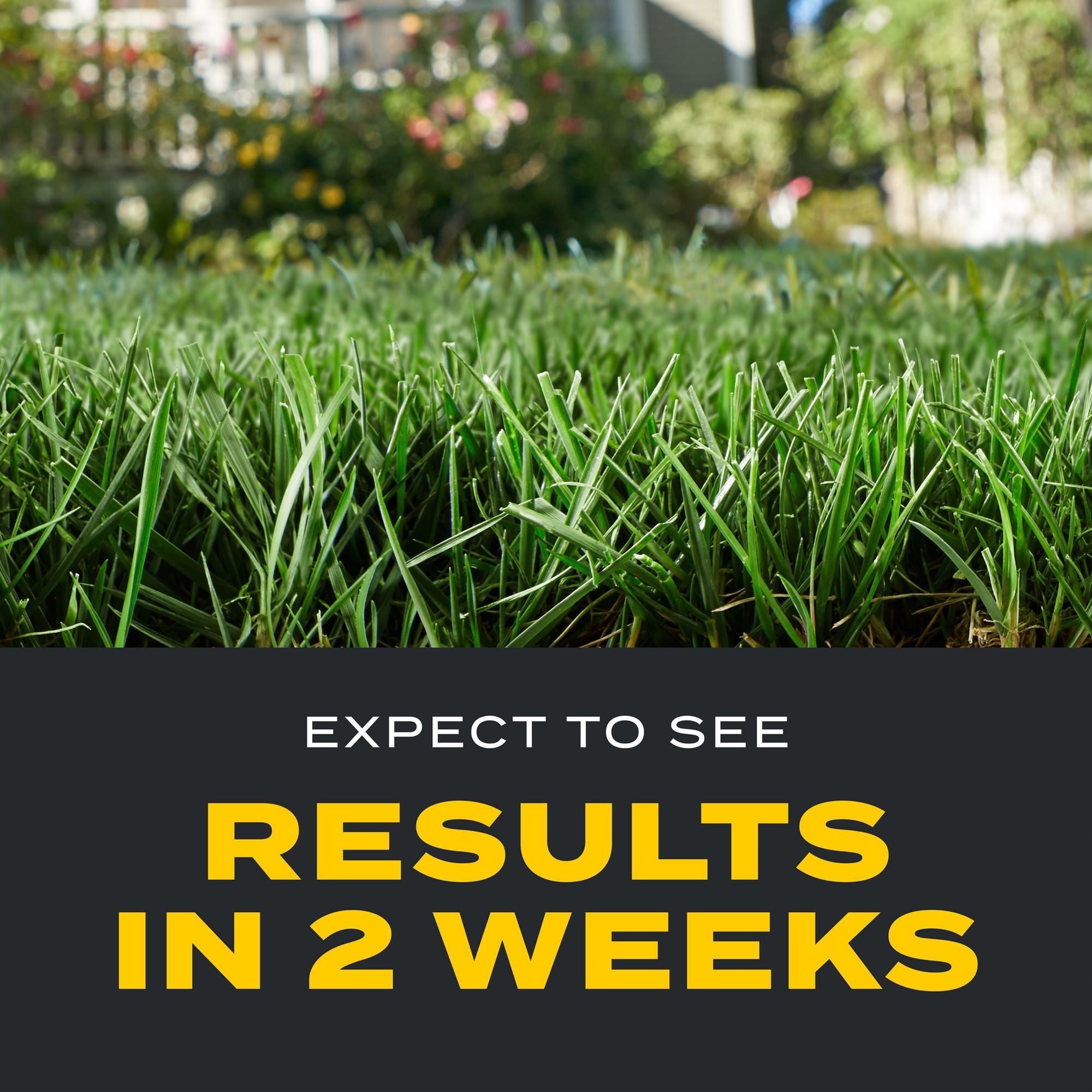 Scotts 26002A Lawn-Fertilizer - View #10