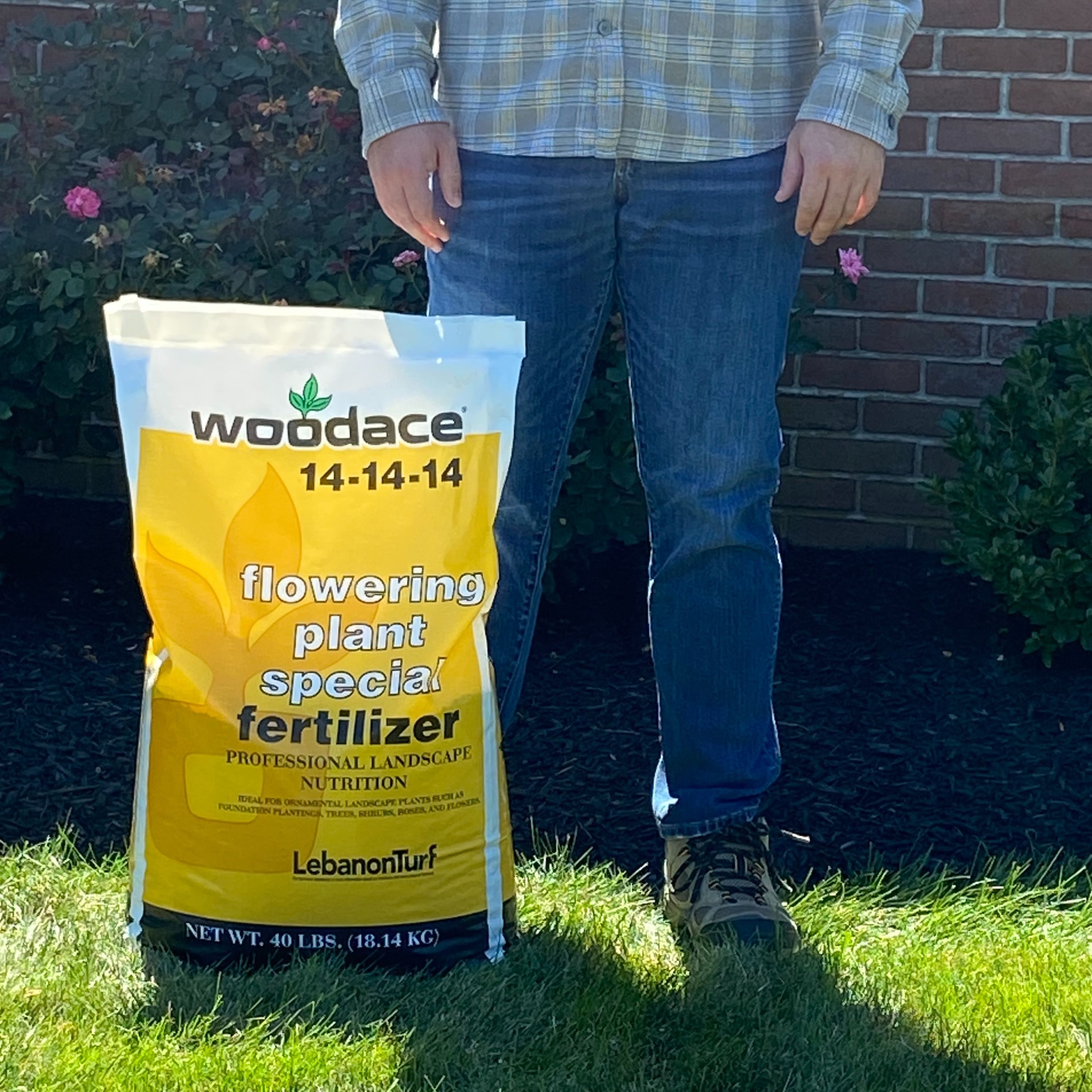 Woodace 2156360 Plant-Food - View #7