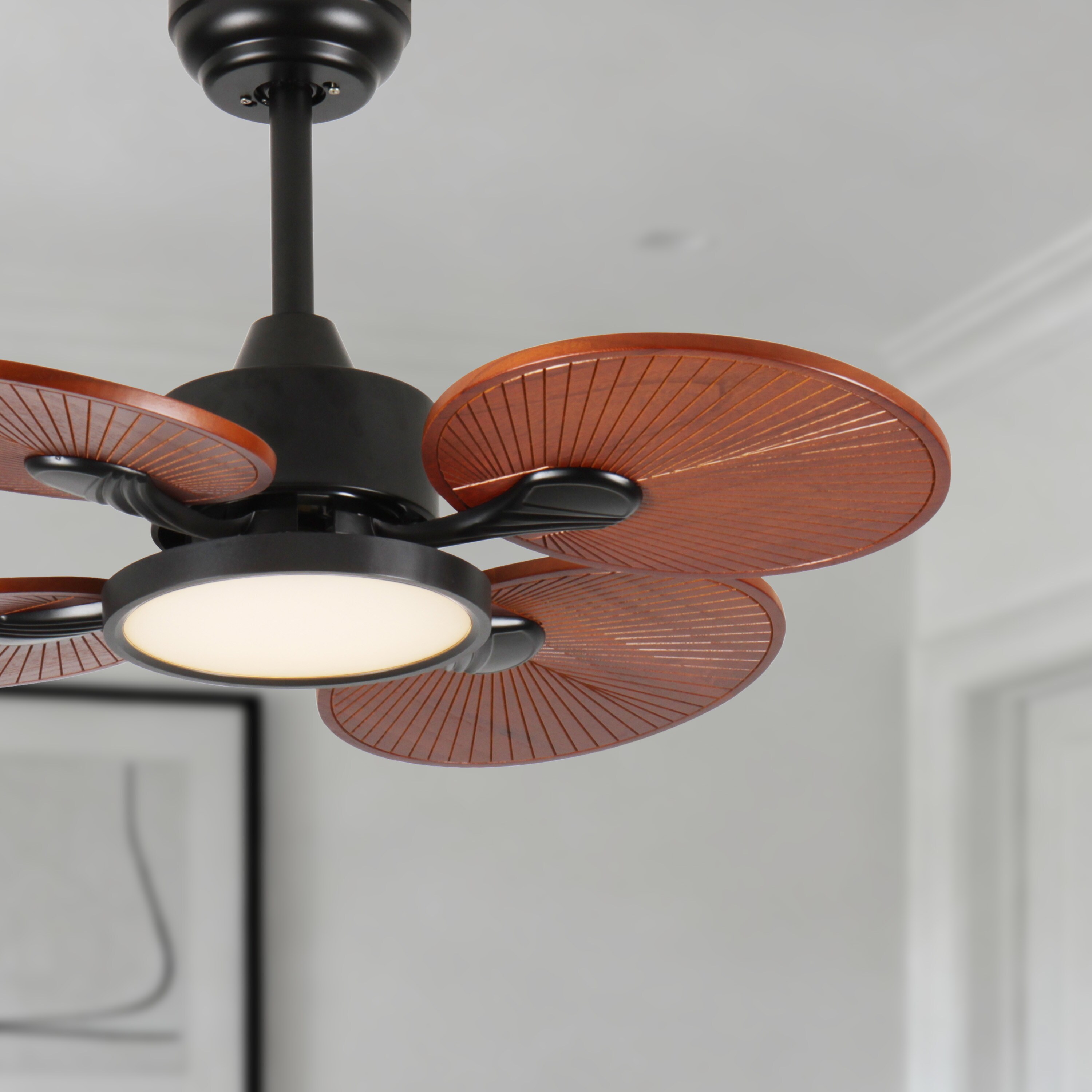 Duclsaty W2352P328929 Ceiling-Fans - View #2