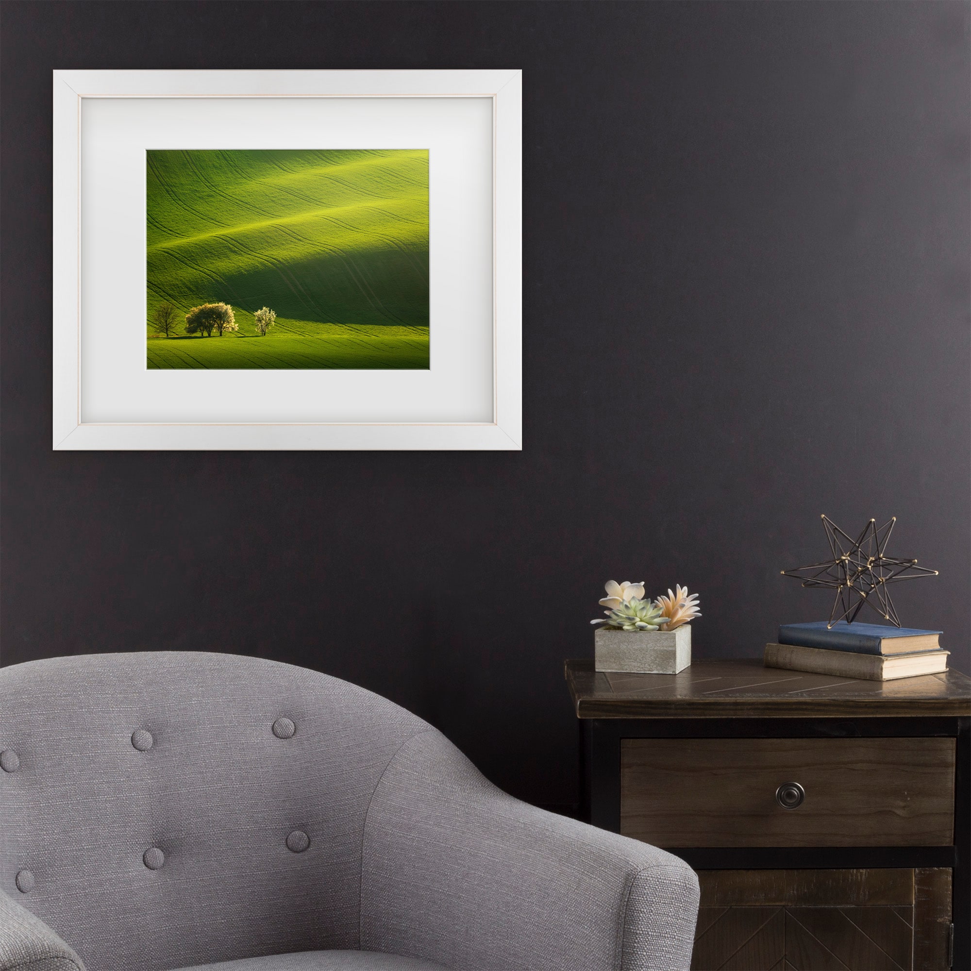 Trademark Fine Art 1X10882-E1620MF Moravian Waves Daniel Rericha White Frame Wood Framed 16-in H x 20-in W Modern Canvas Print