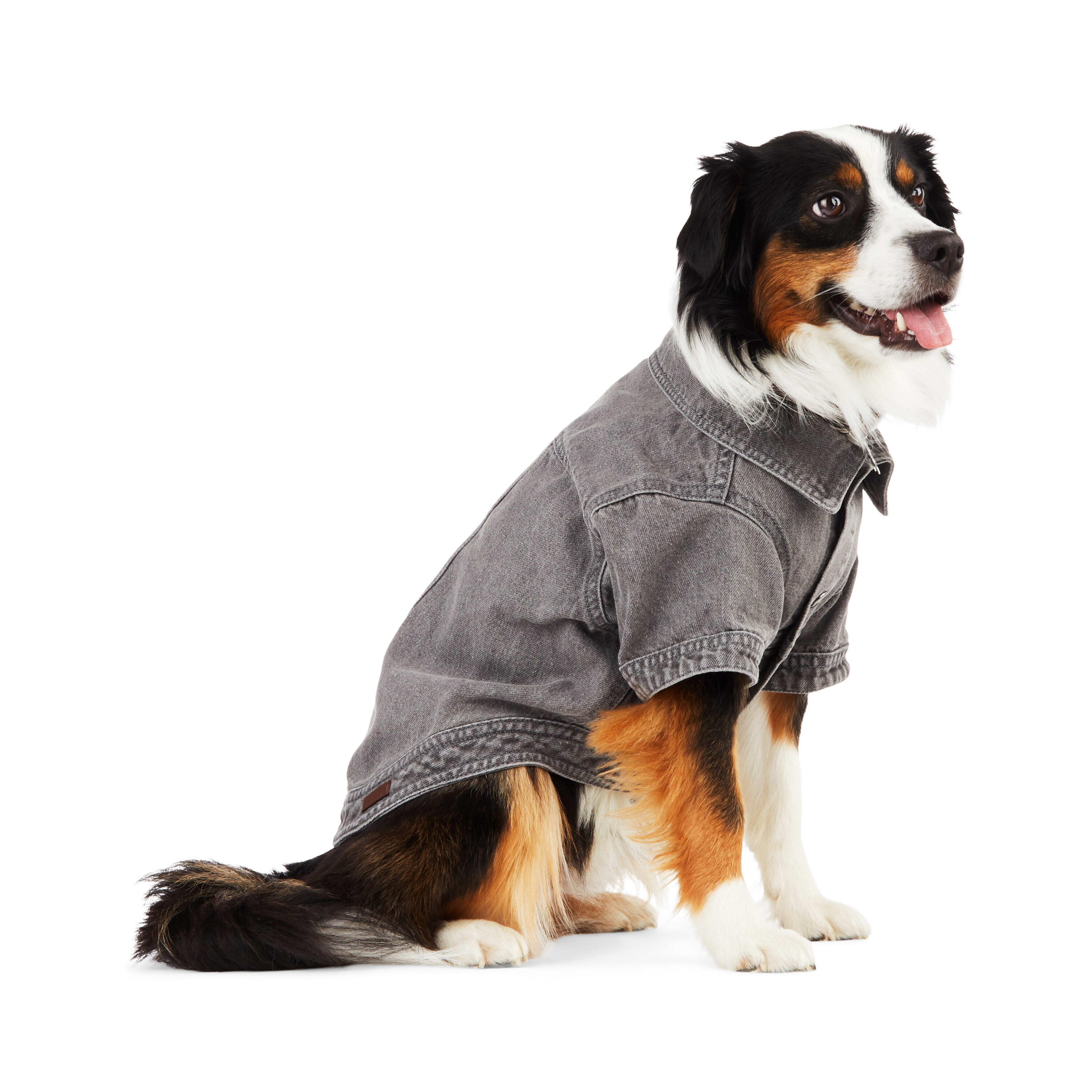 Reddy PTY-23050120XL Dog-Clothing-Acc - View #3