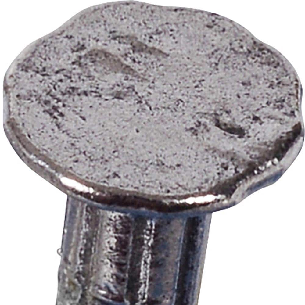 Fas-n-Tite 461544 Flooring-Nails - View #6