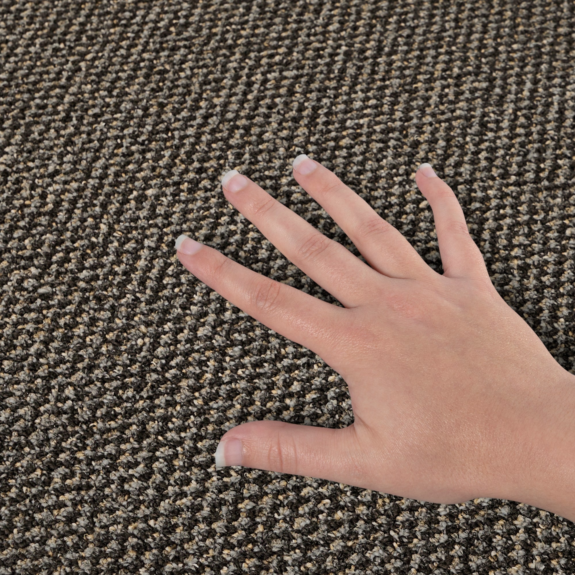  LC78-12-L001 Carpet-Panel - View #4