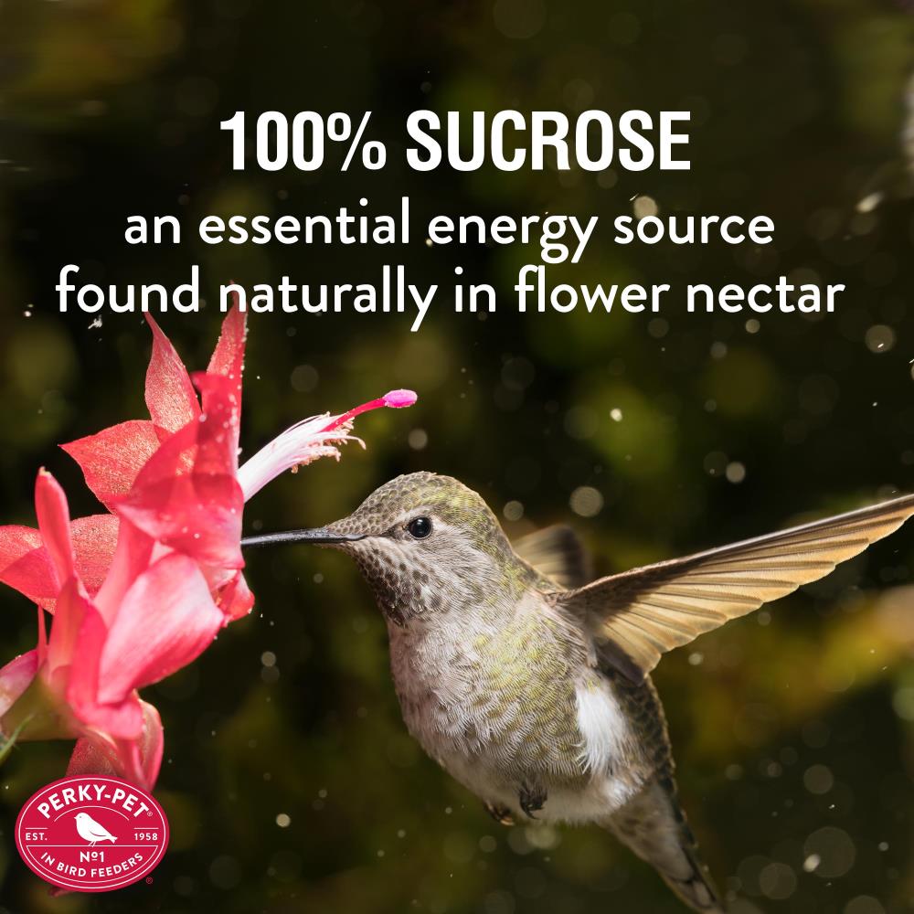 lowes hummingbird nectar