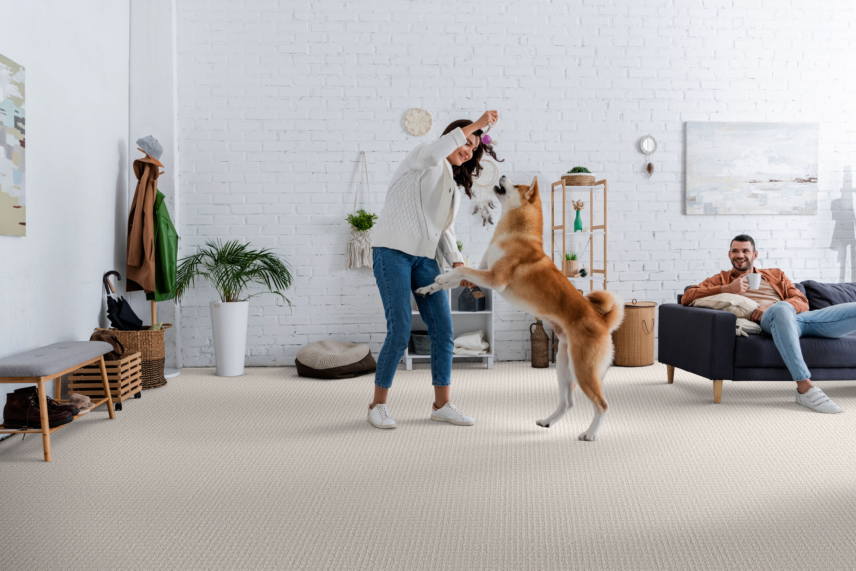 STAINMASTER PetProtect 7L88500501 Carpet-Panel - View #3