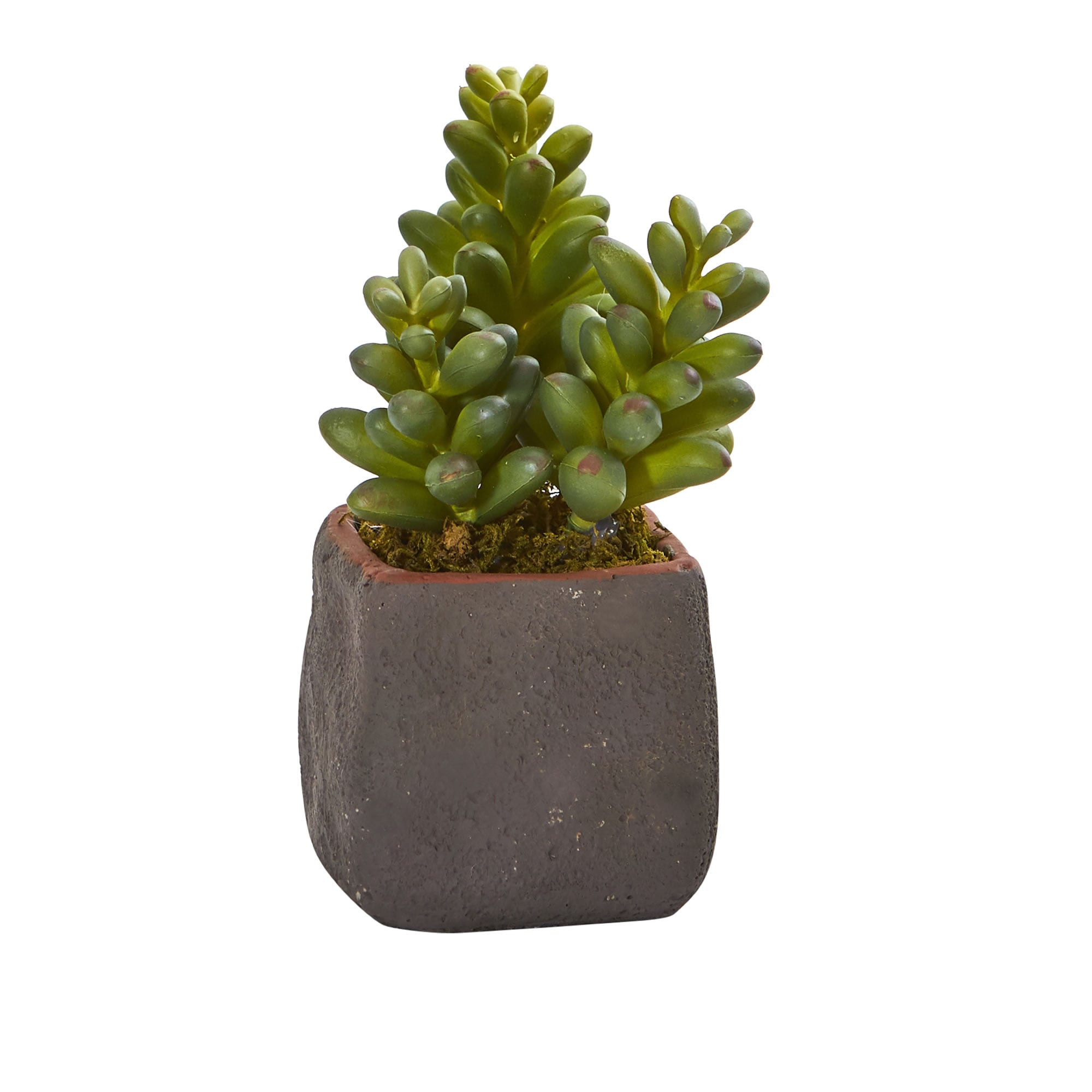 Nearly Natural 4-in Green Indoor Succulent Artificial Plant | P1923