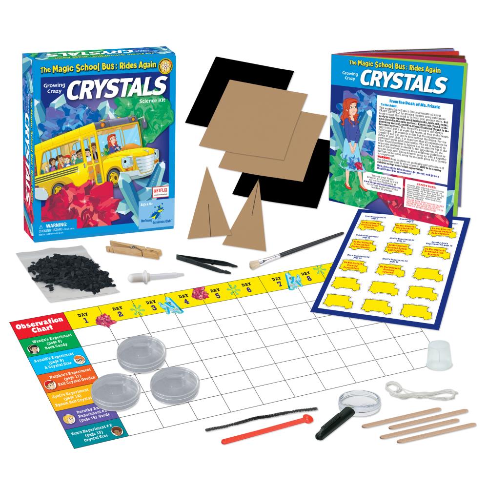 Horizon Group USA YS-WH9251158 The Magic School Bus Growing Crazy Crystals Science Kit