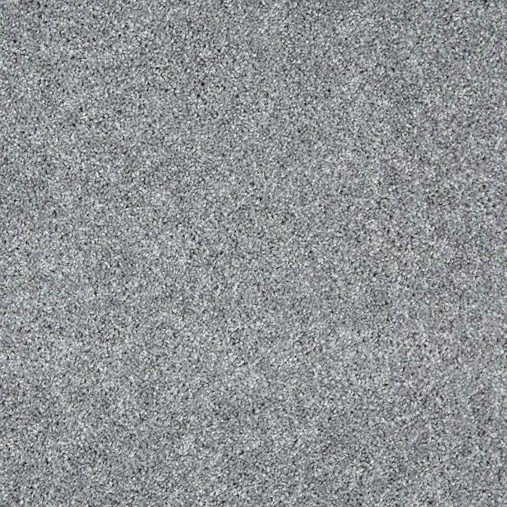 STAINMASTER SS037-L001-S0808 (Sample) Elegant Essence DS Regal Gray 40-oz sq yard Triexta Textured Indoor Carpet