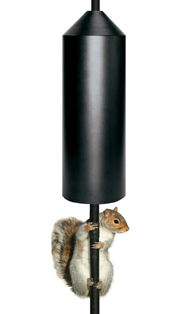 Panacea Products Metal, Pole Mount 15 Squirrel Baffle, Black