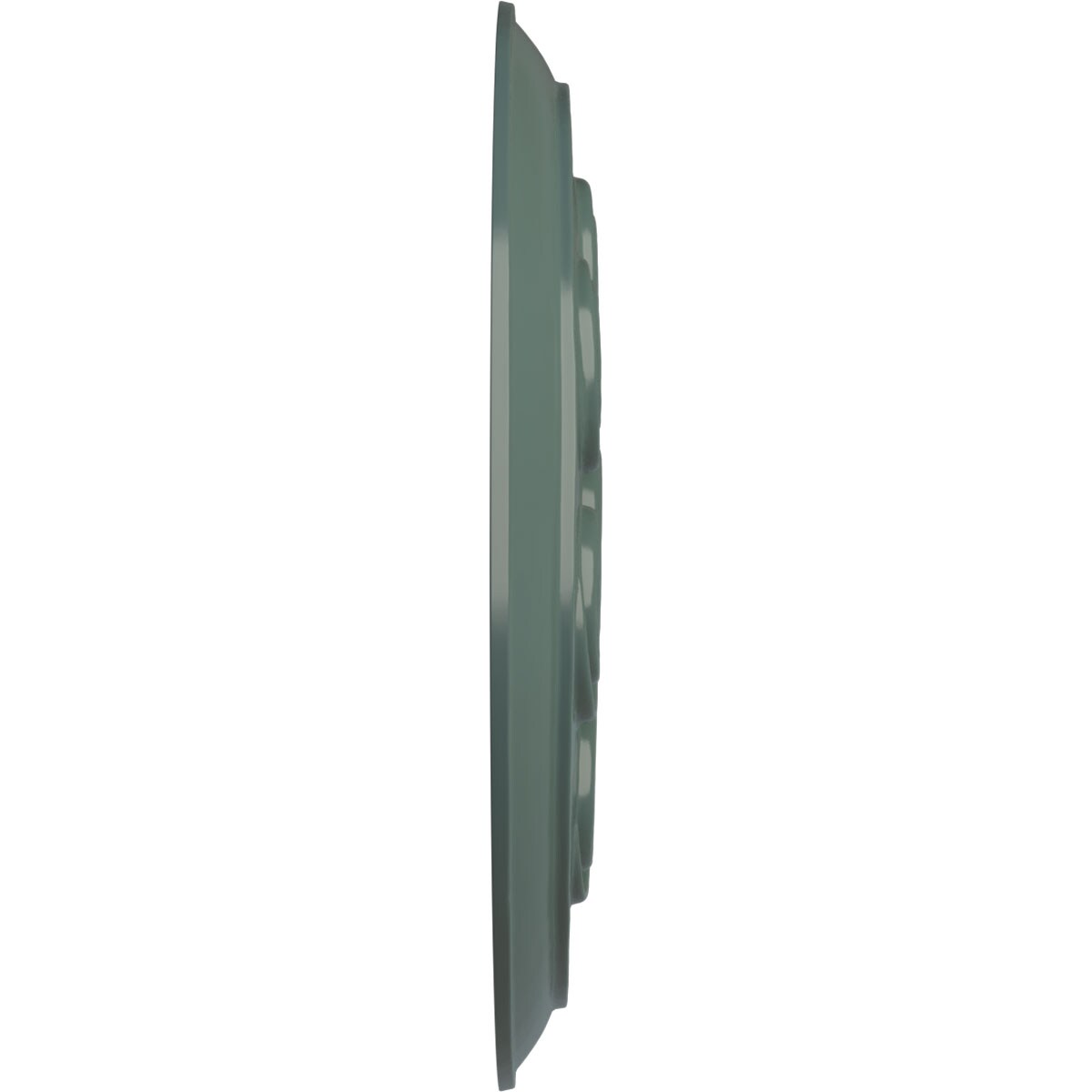 Ekena Millwork CM25SPCBF Ceiling-Medallions - View #3