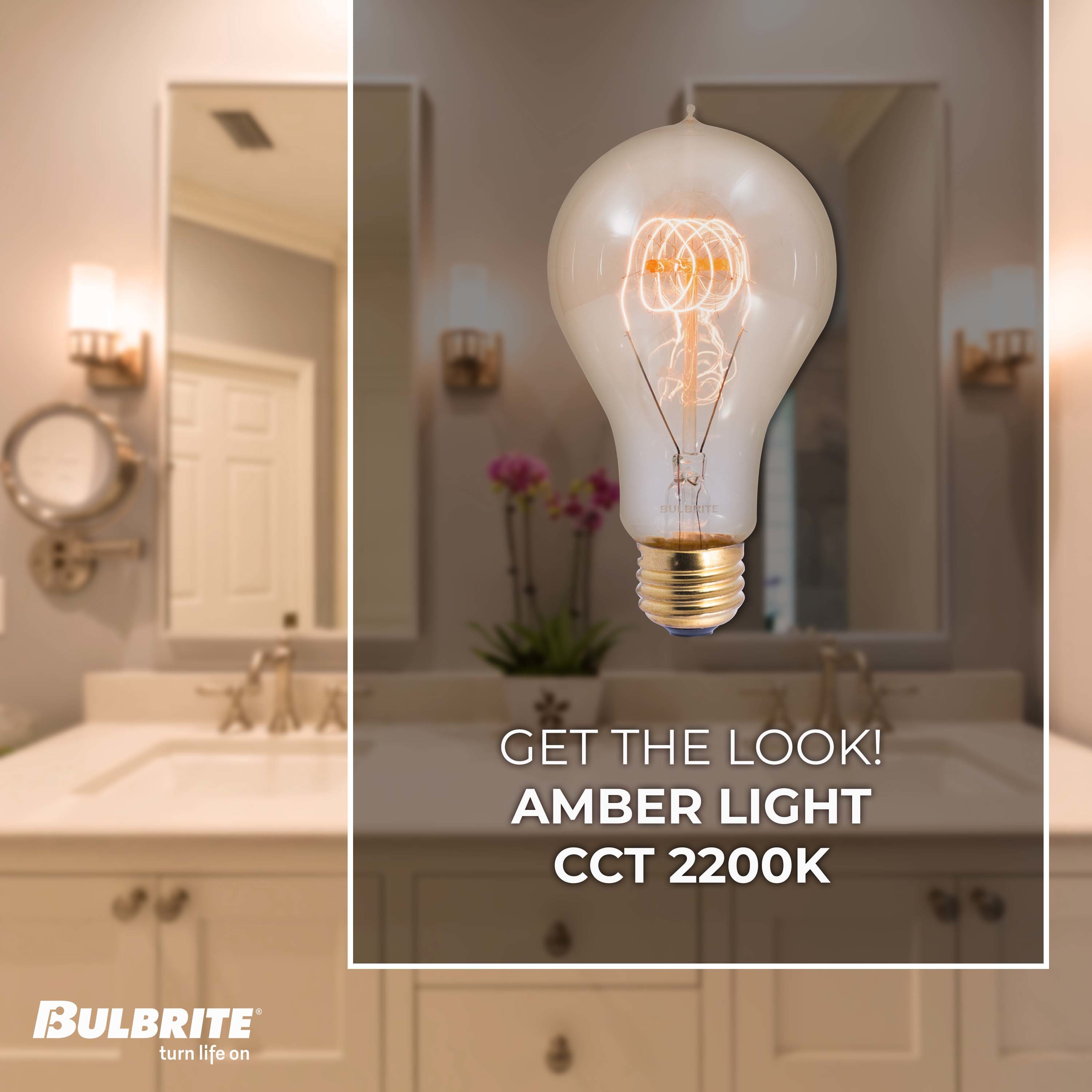 Bulbrite 861373 Dec-Led-Light-Bulbs - View #3