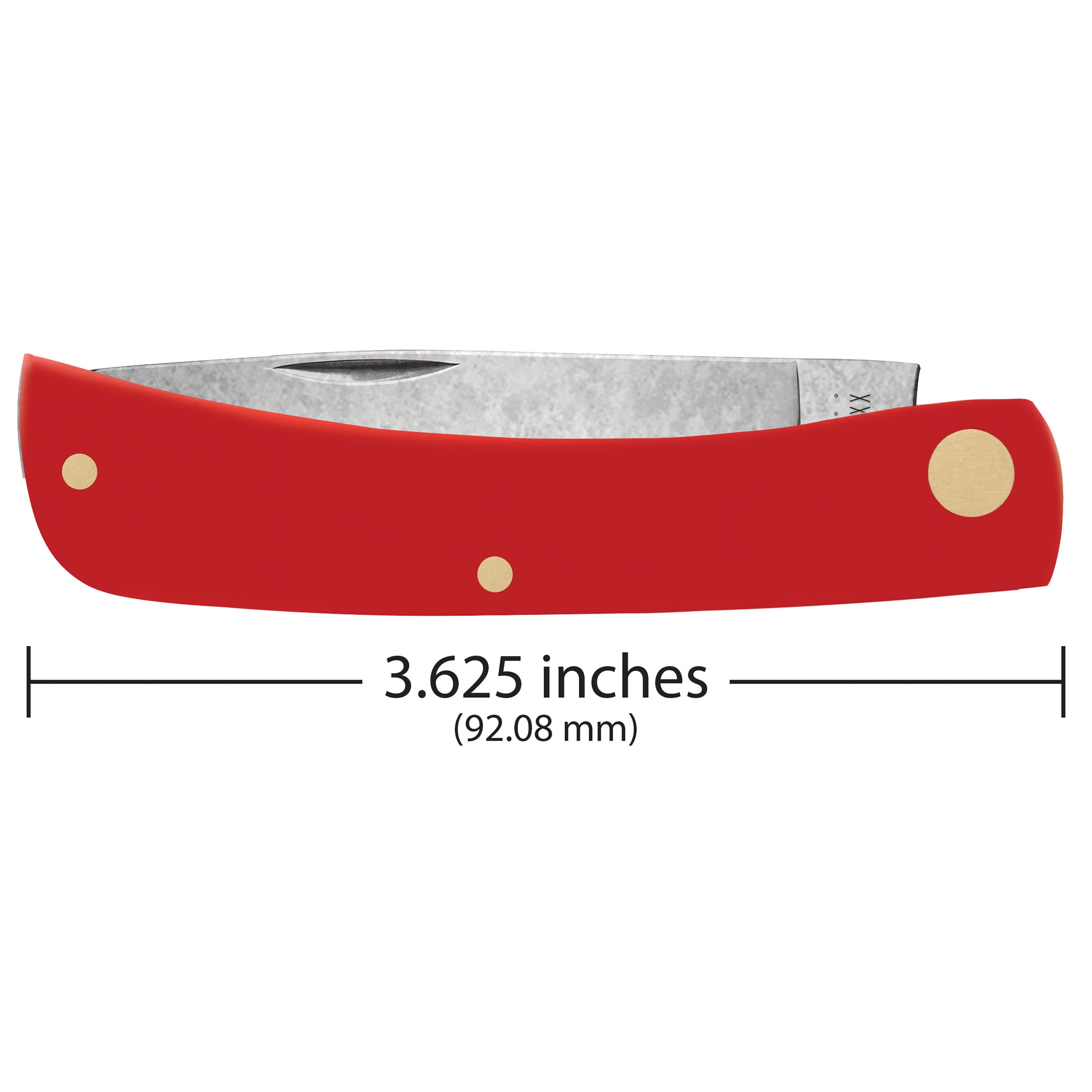 Case Cutlery 2.8-in Carbon Steel Skinner Pocket Knife at