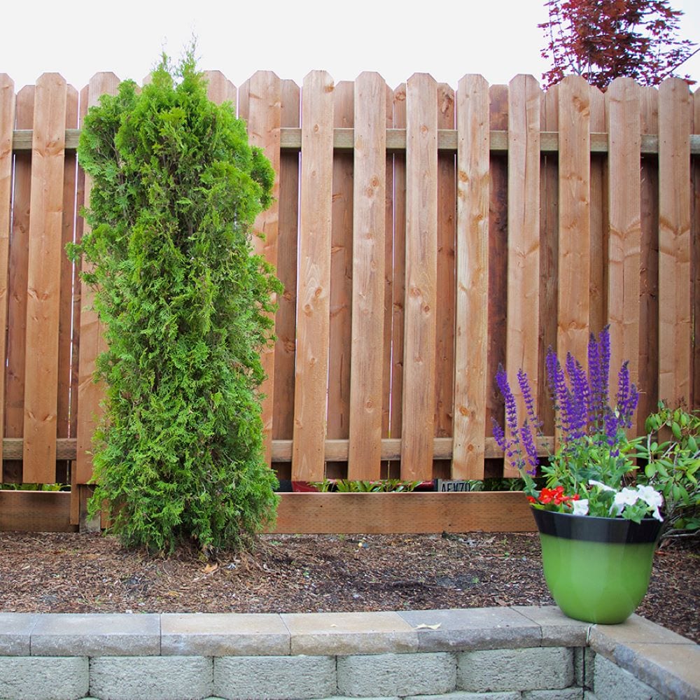  11005 Fence-Pickets - View #4