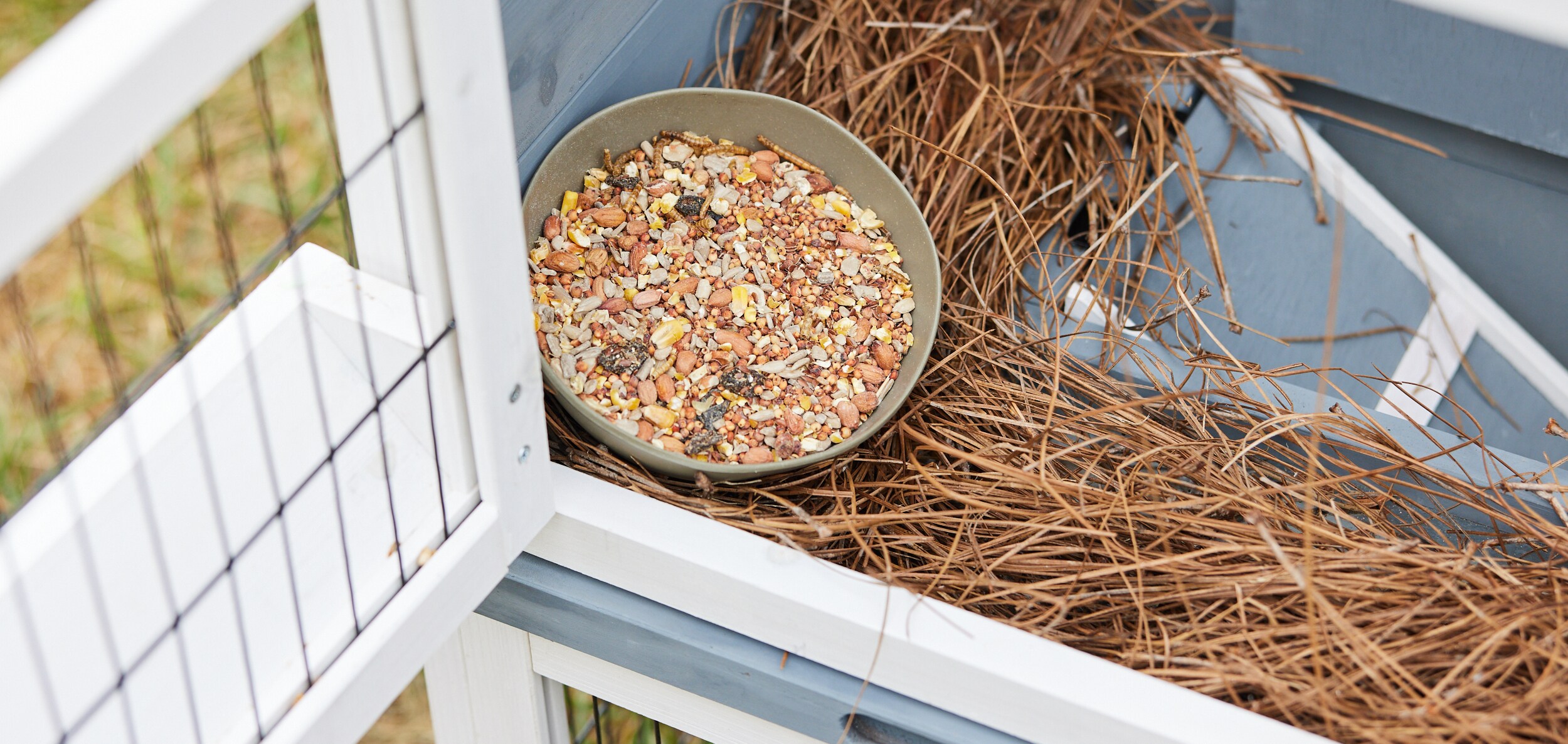 Pecking Order 009326 Poultry-Feed - View #4