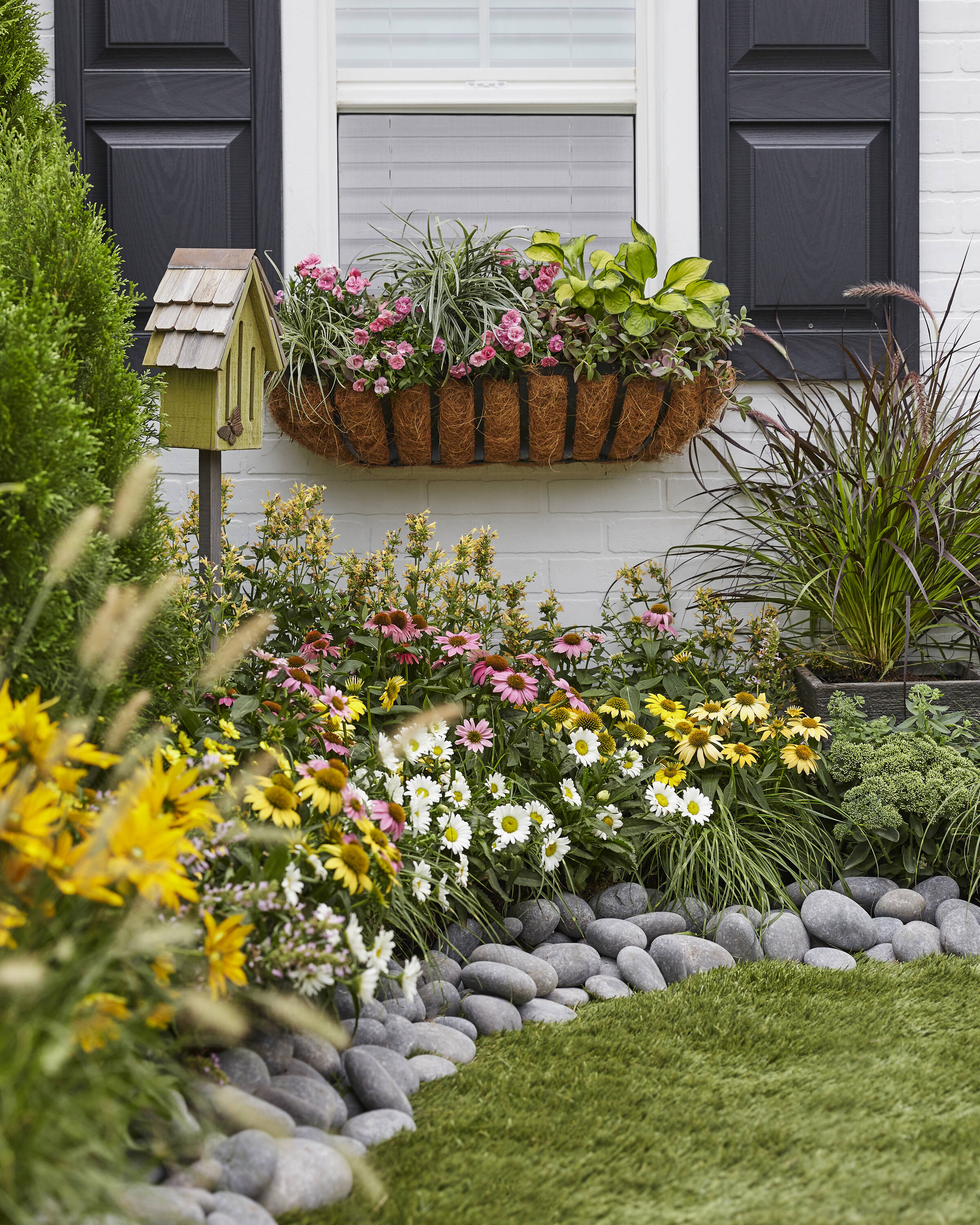 Monrovia 78499 perennials - View #3