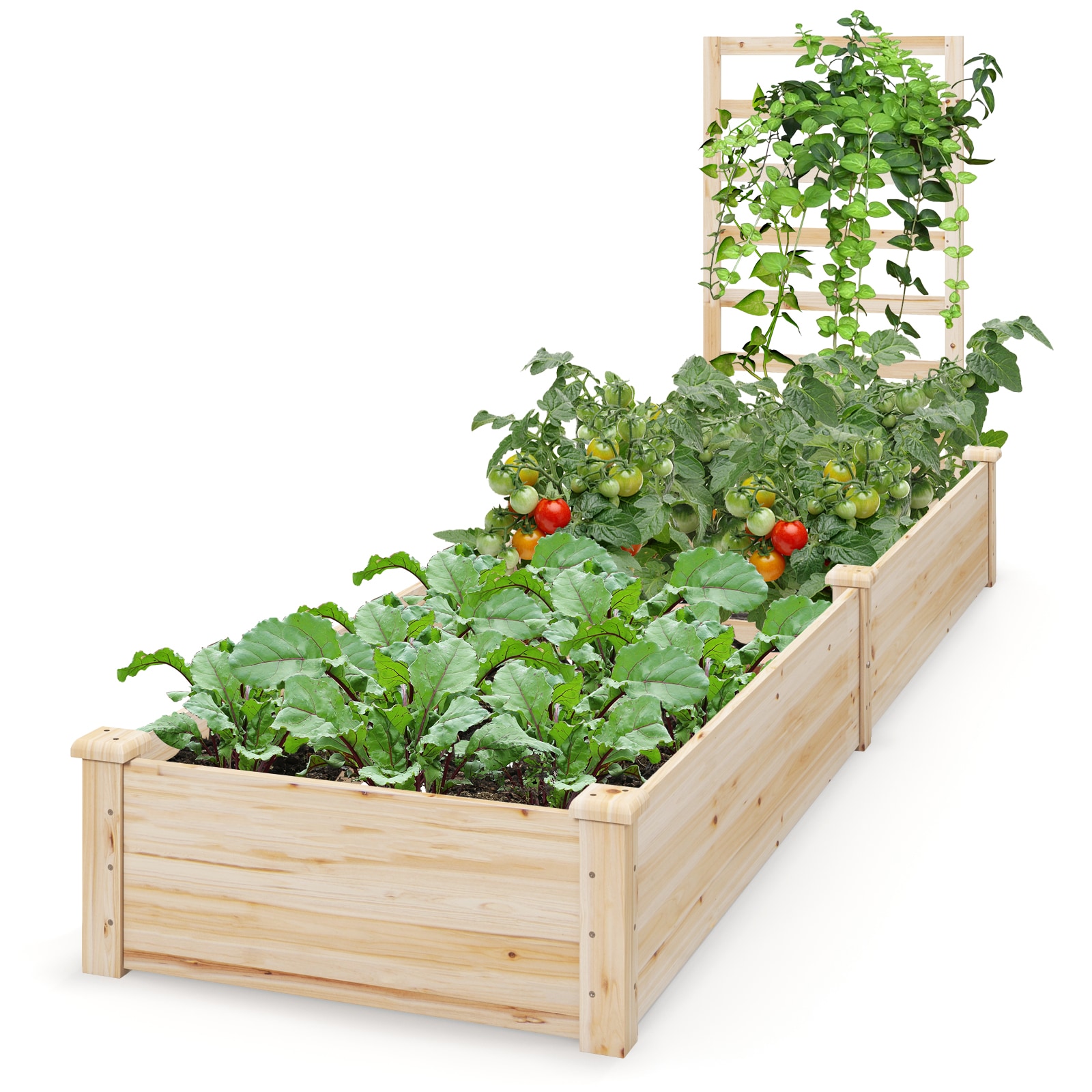  4096NAHYGD Raised-Garden-Beds - View #8