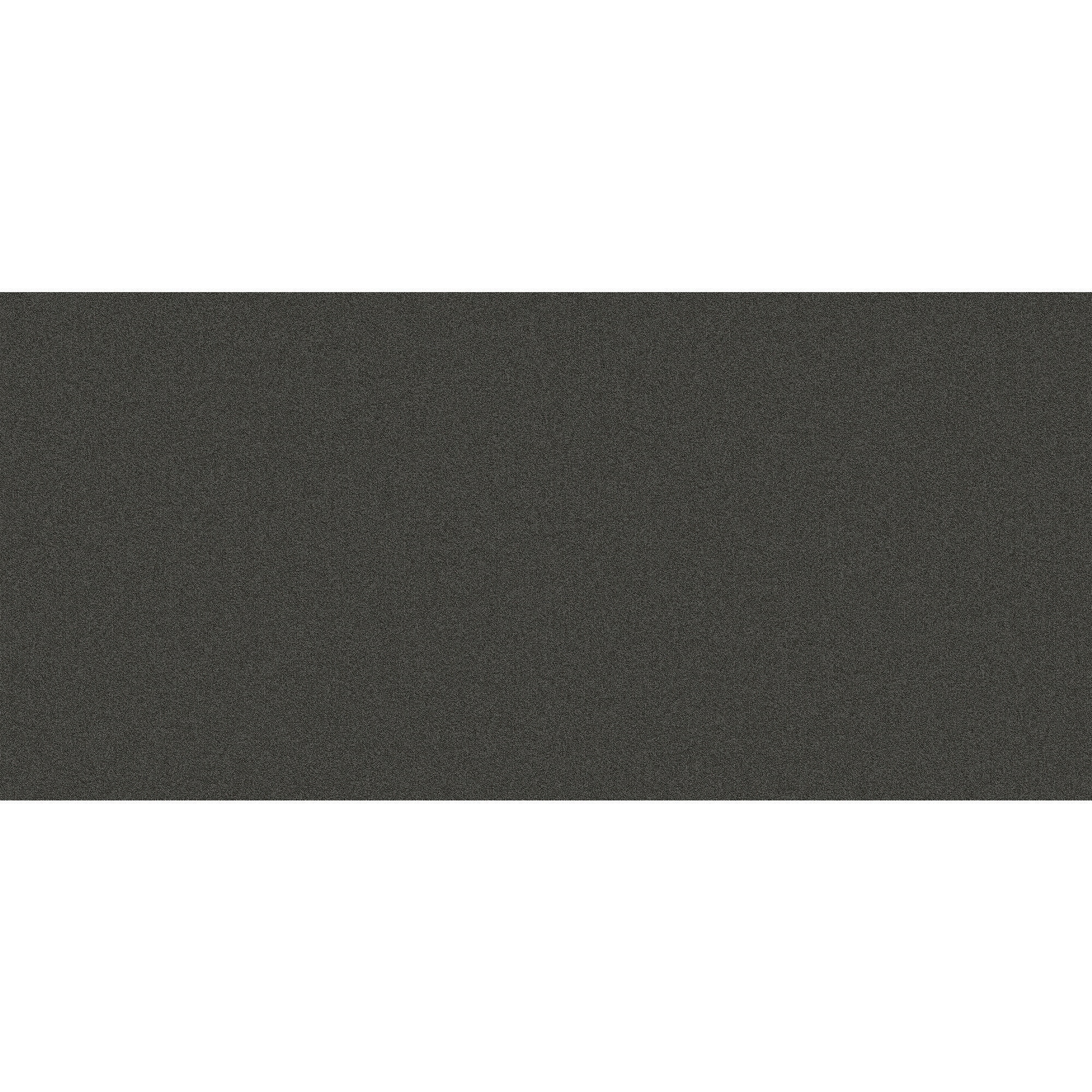  LC76-12-L006 Pro Renovations - No Rules Oxidation Gray 12-oz sq yard Solution-dyed polyester Level loop Indoor Carpet