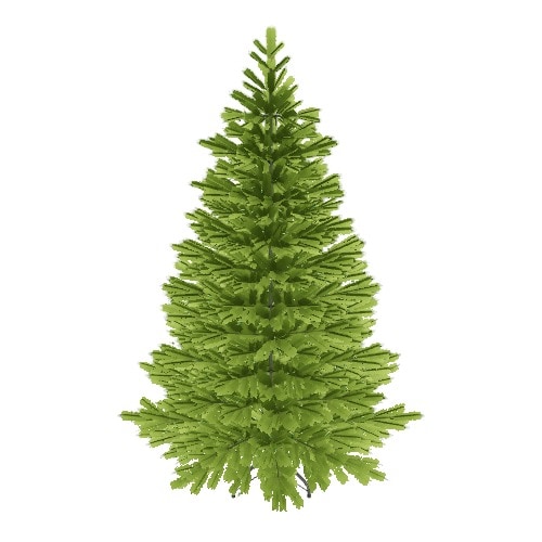 Three-dimensional representation of the product