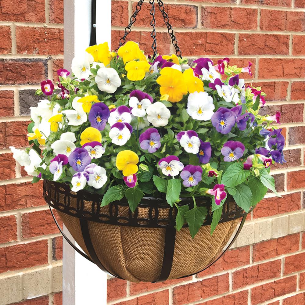 Patio Life 14-in W x 7-in H Brown Metal Hanging Planter at Lowes.com