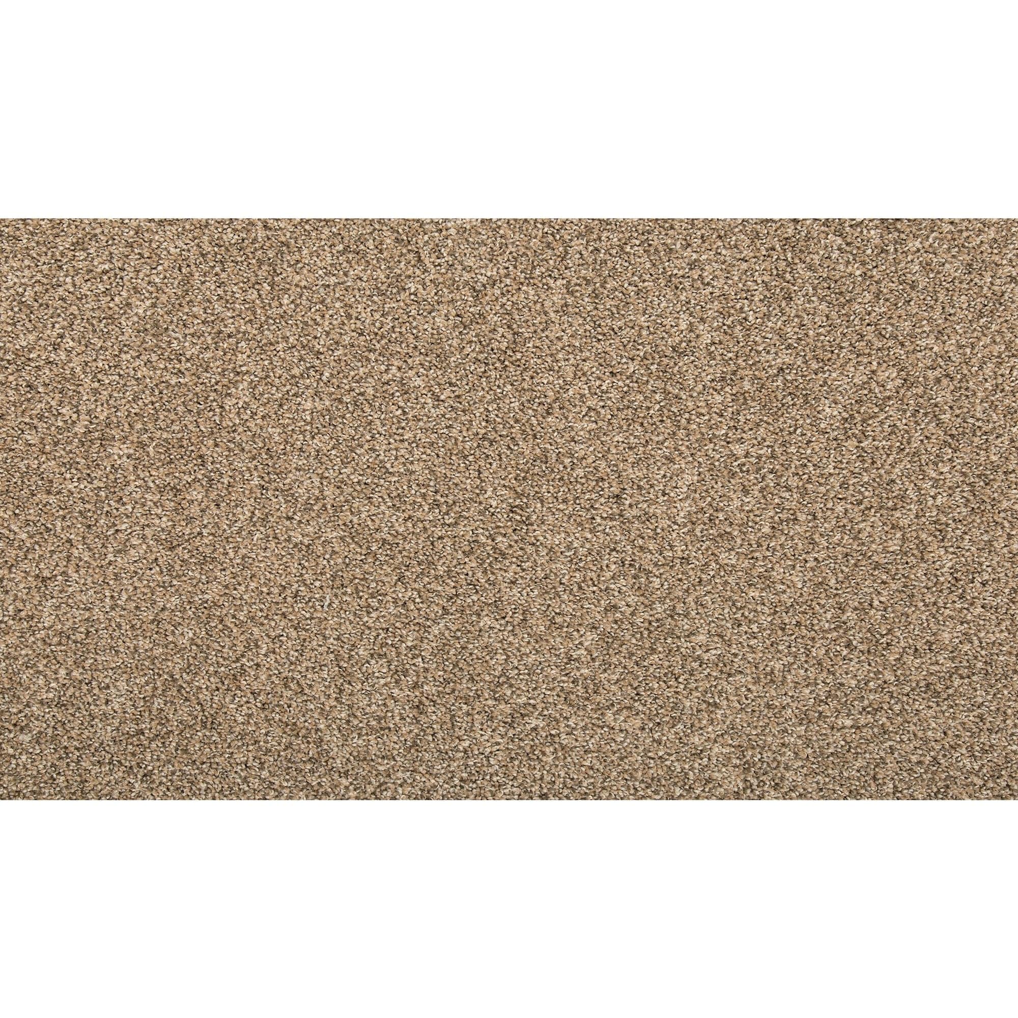 Style Selections SS016-L002-0808 (Sample) Carolina Coast II Quinoa Brown 35-oz sq yard Solution-dyed polyester Textured Indoor Carpet