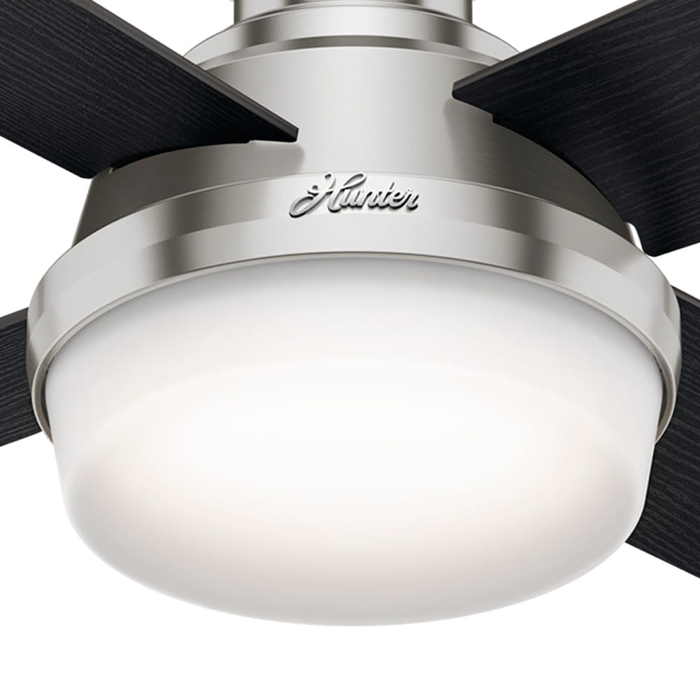 Hunter 59243 Ceiling-Fans - View #14