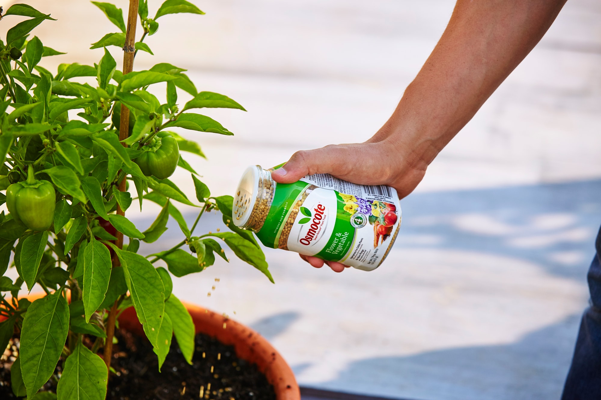 Osmocote 177160 Plant-Food - View #5