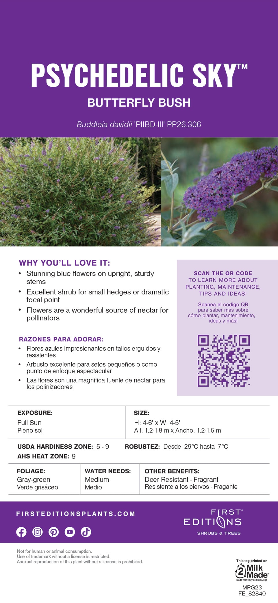 Lowe's NURSERY shrubs - View #6