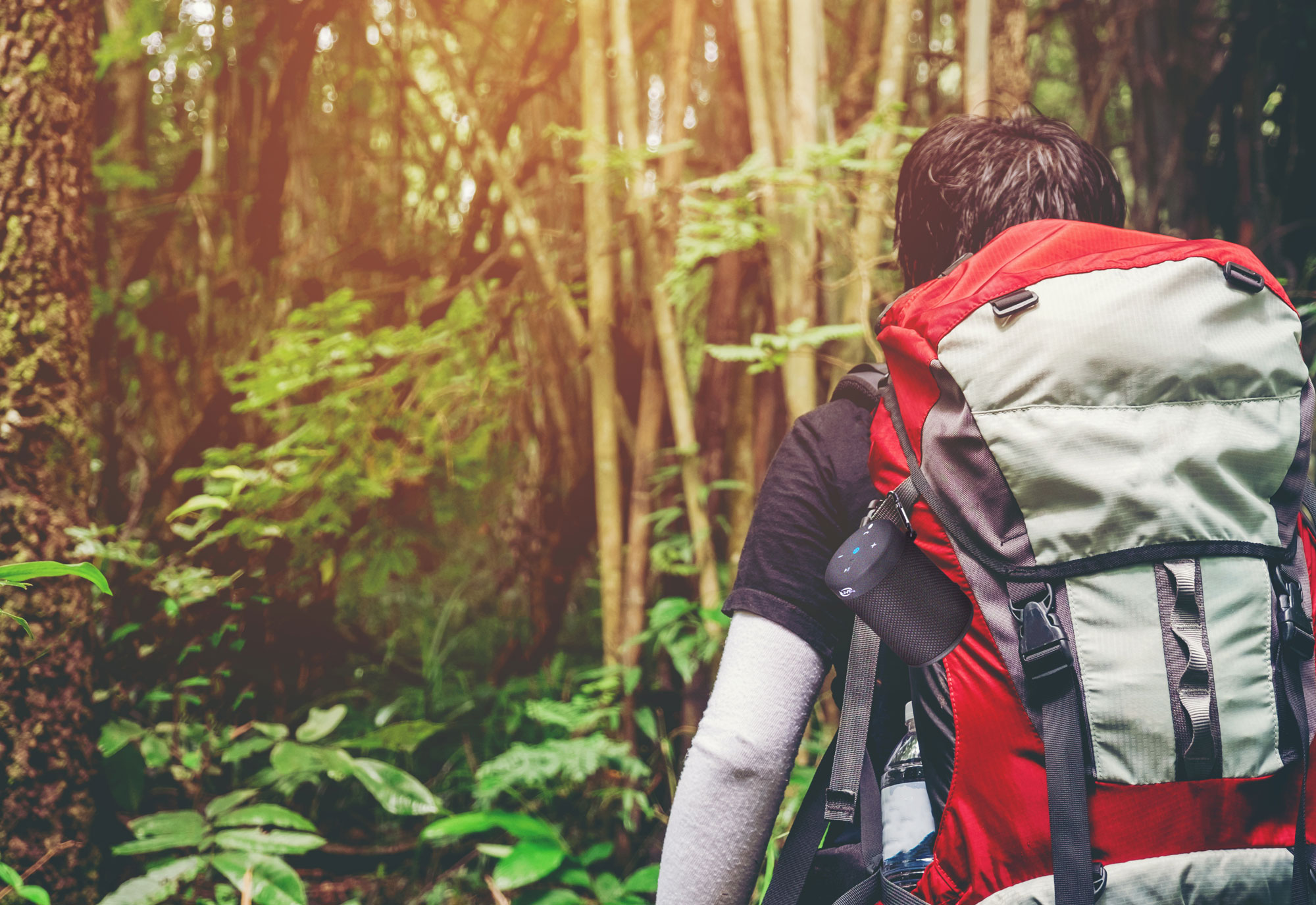 iLive ISBW108B Portable-Speakers - View #5