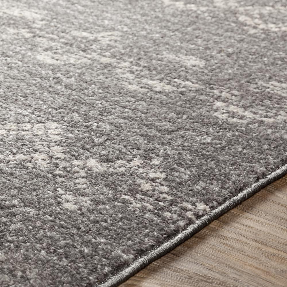 Surya CHE2307-710103 rugs - View #4