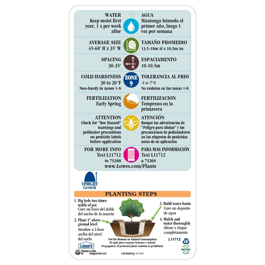 Lowe's NURSERY trees - View #3