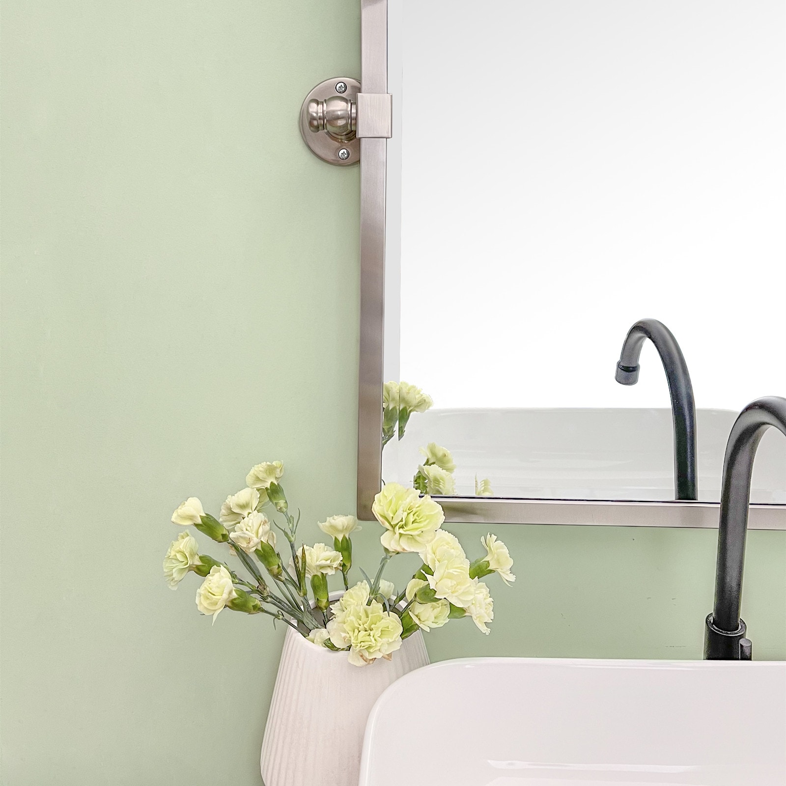 TEHOME Blakley 20-in X 24-in Tilting Bathroom Vanity Mirror (Brushed ...