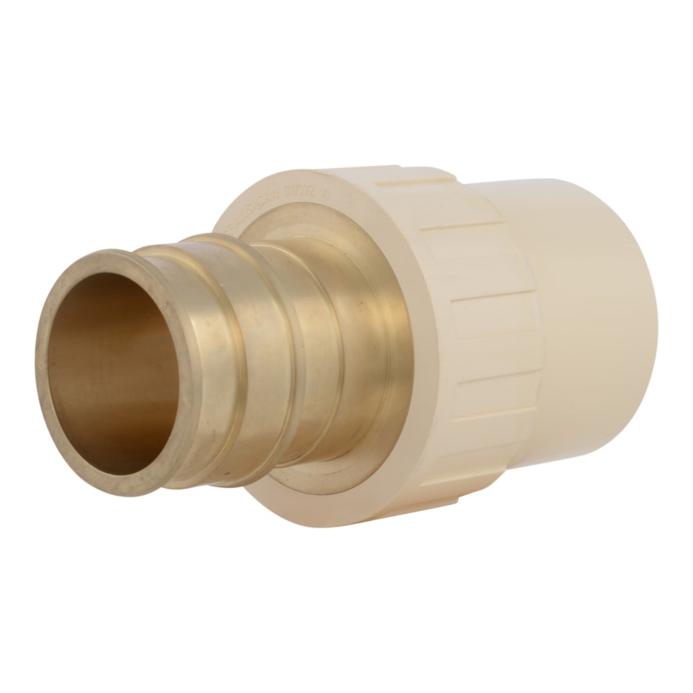 2-IN PEX-A BRASS EXPANSION X 2-IN CPVC ADAPTER (2-Pack)