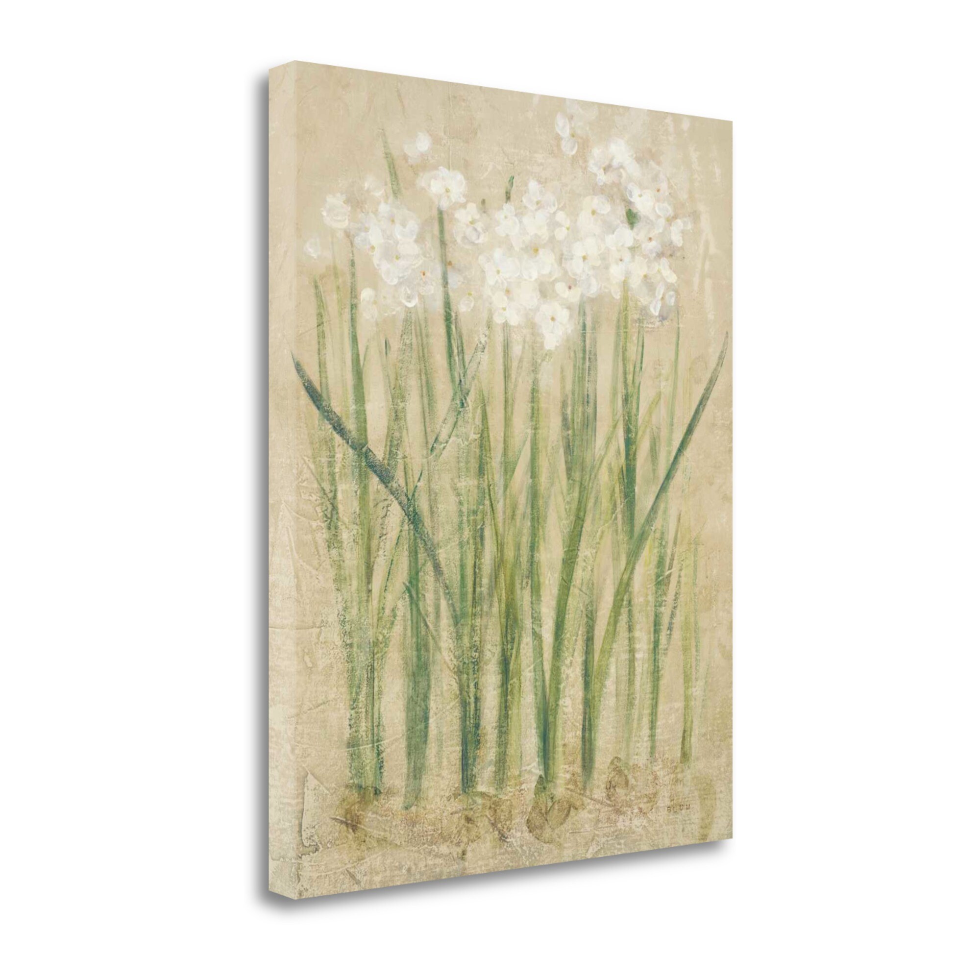 Tangletown Fine Art WA618724-1822C Narcissus Cool Cheri Blum 22-in H x 18-in W Floral Print on Canvas