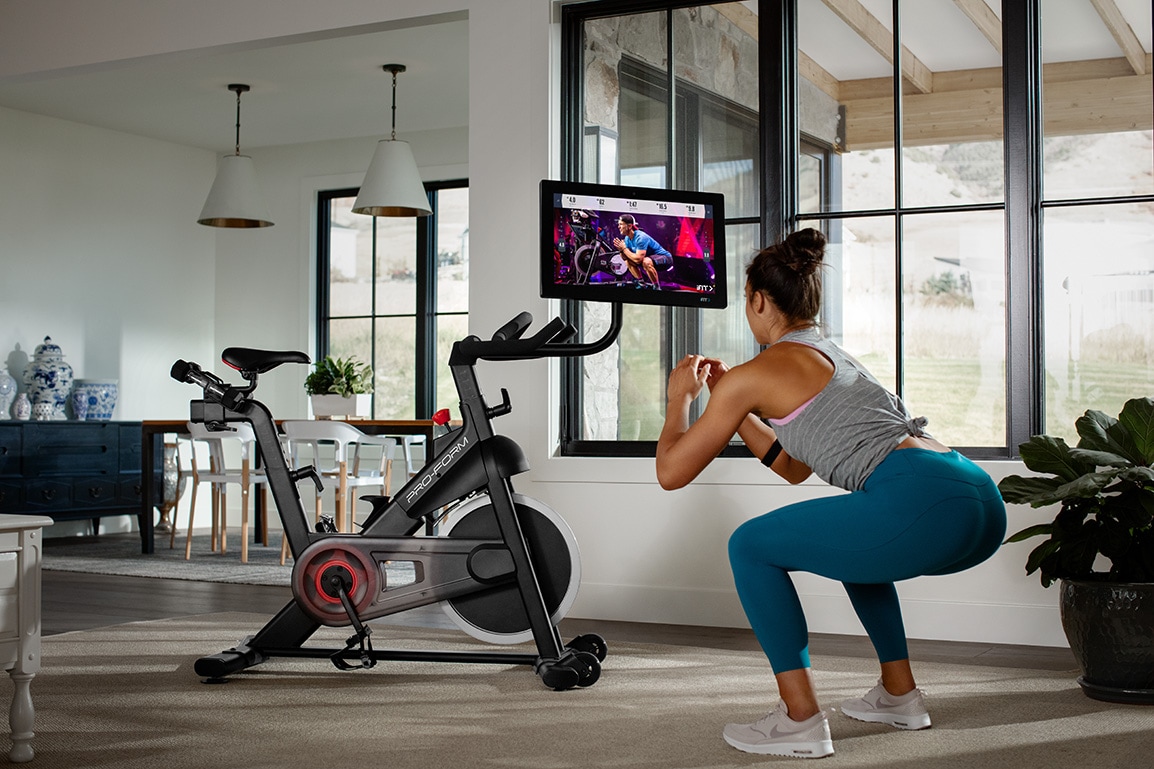 ProForm Pro Magnetic Spin Exercise Bike in the Exercise Bikes ...