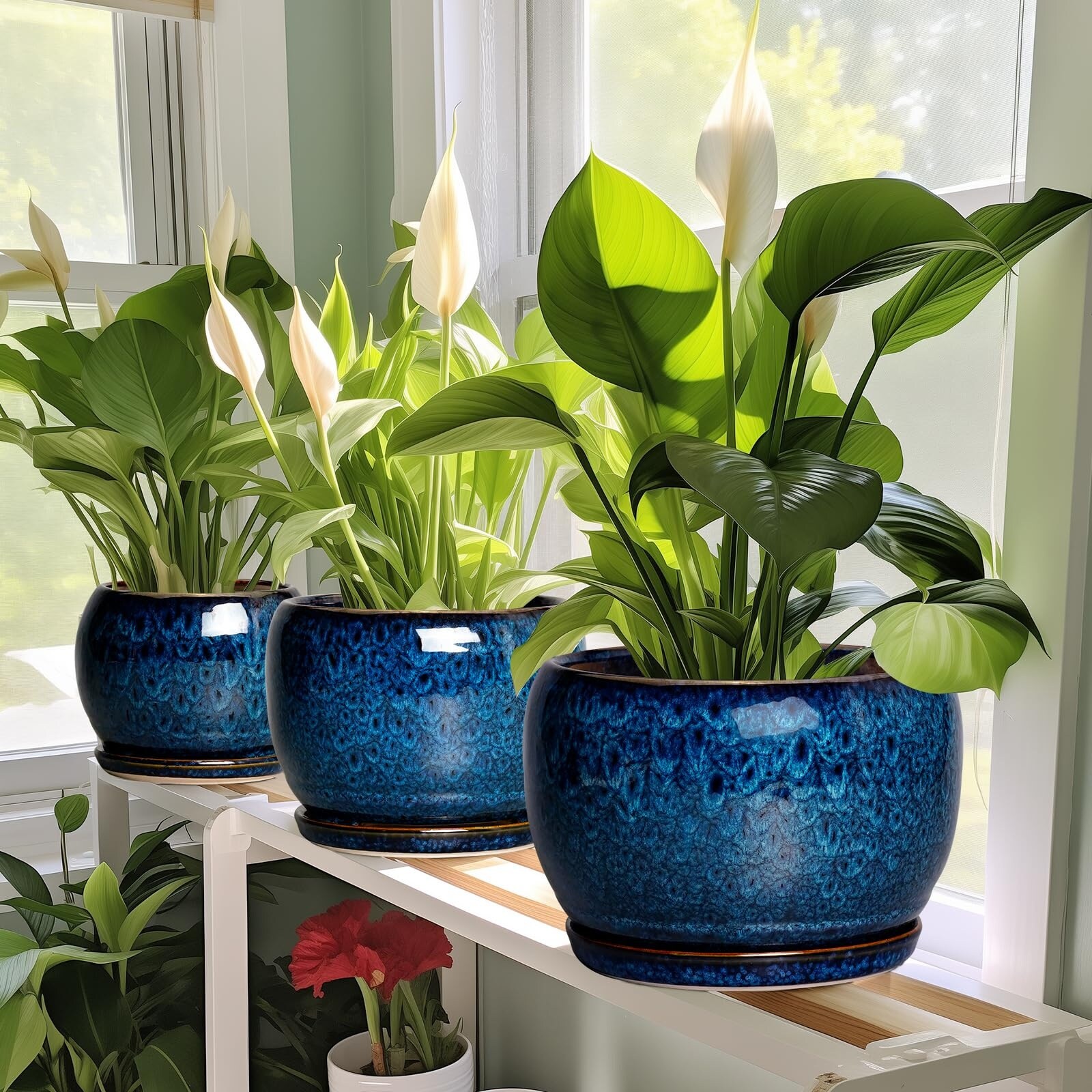 Adrinfly LAD0519D055 Planter-Window-Box - View #6