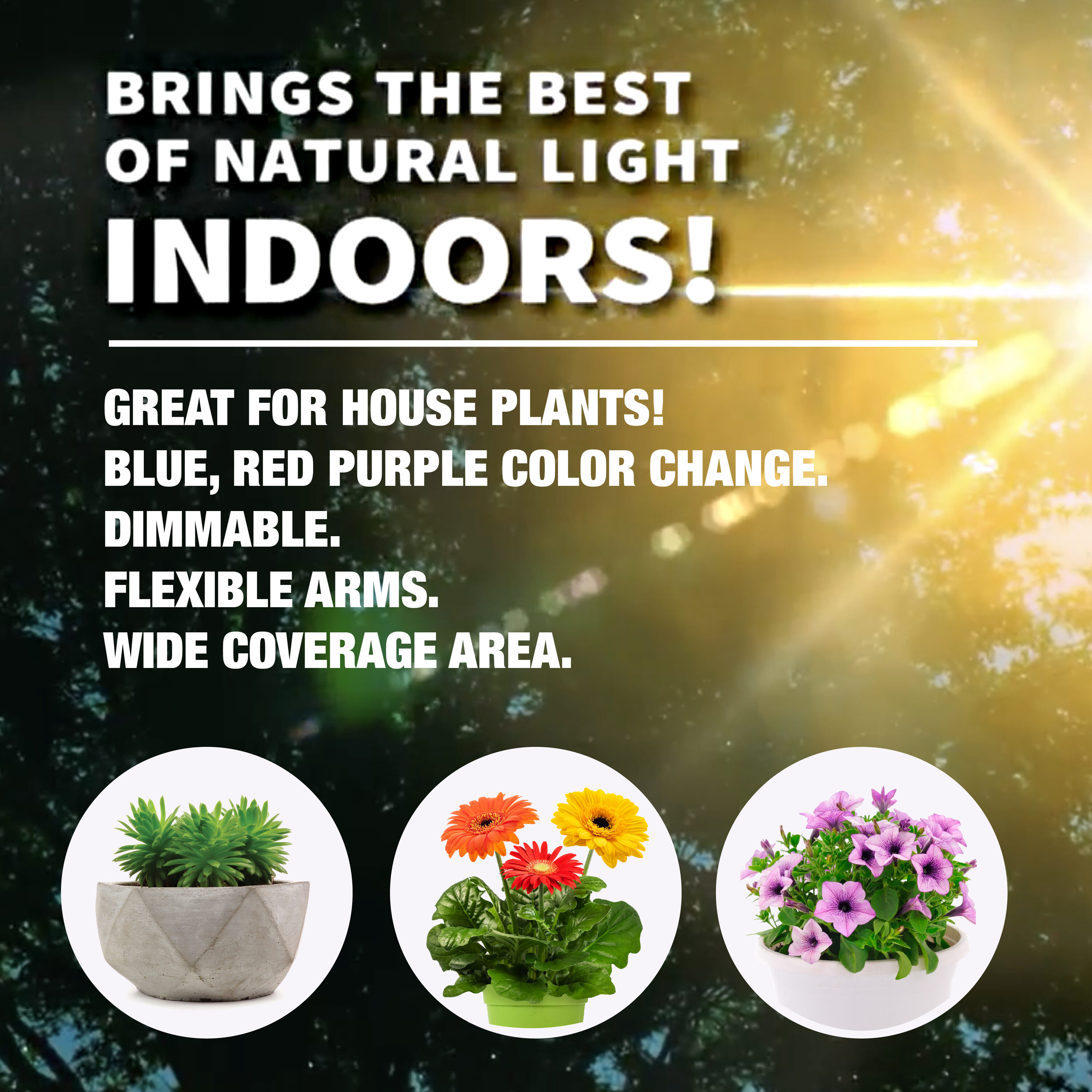 BELL + HOWELL 8718 Grow-Lights - View #4