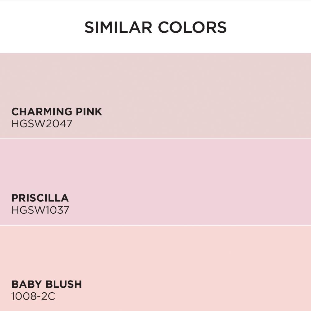 HGTV HOME by Sherwin-Williams HGSW2067-2557223 Int-Ext-Paint - View #6