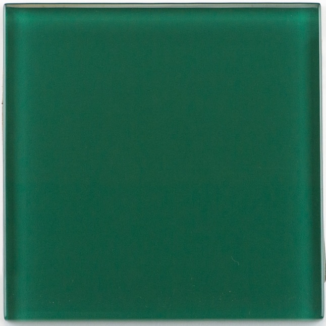 Crossville High Fidelity Green 4-in x 4-in Glossy Glass Uniform Squares ...