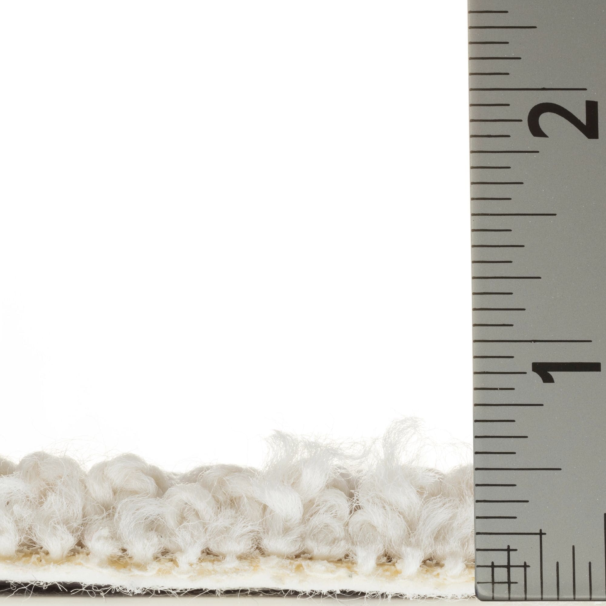 STAINMASTER 7L873 - 111 - SAMP Carpet-Samples - View #5