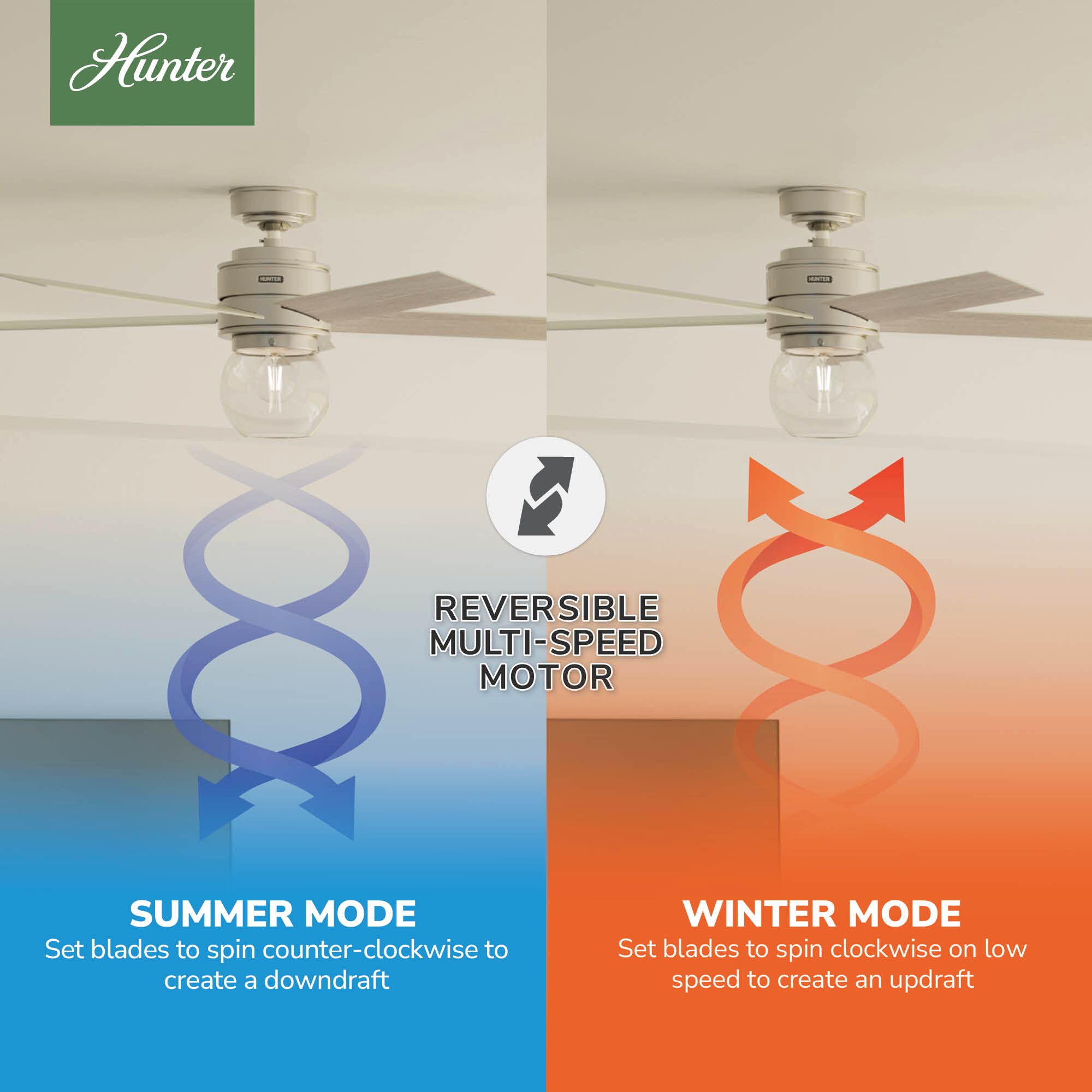 Hunter 52656 Ceiling-Fans - View #7