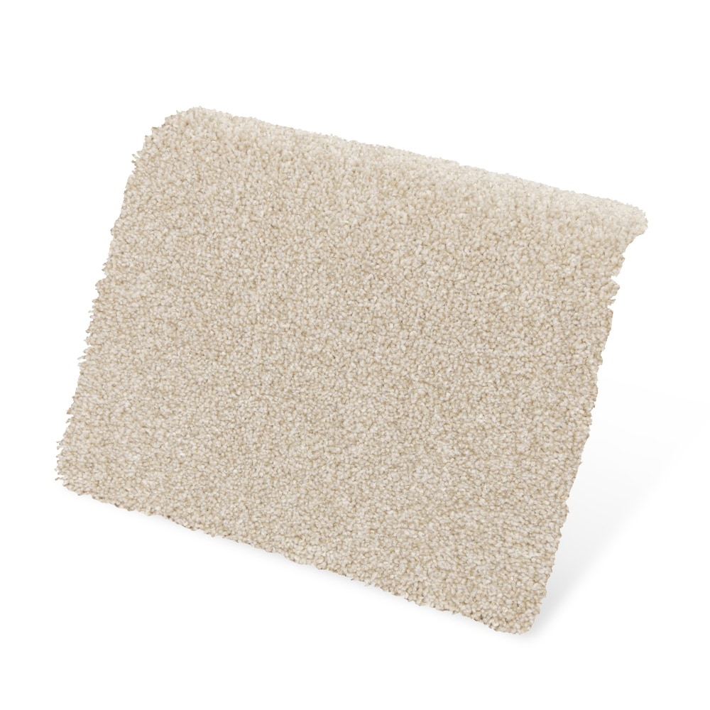 STAINMASTER SS020-L001-0808 Carpet-Samples - View #4