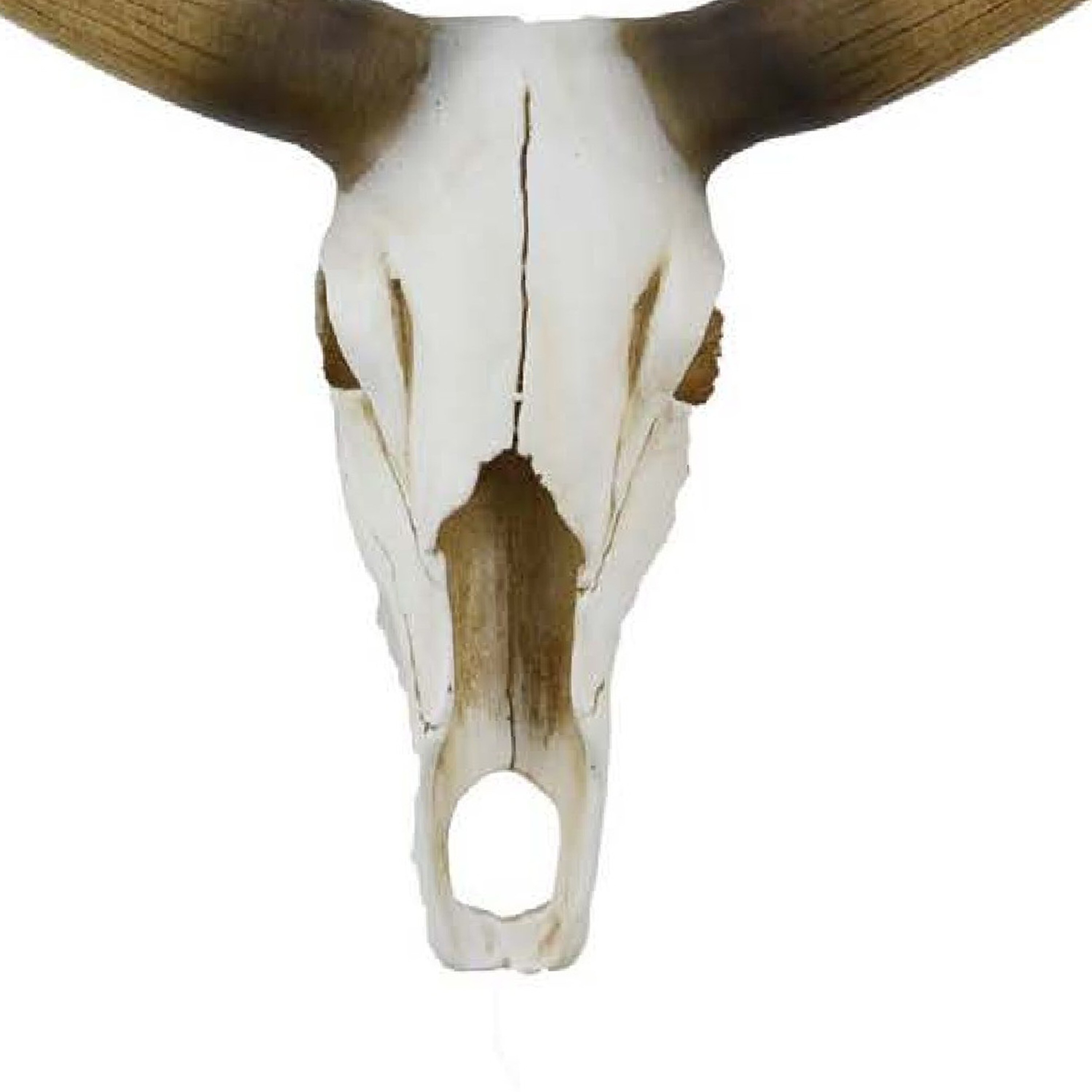 Benzara BM335065 Decorative-Accessories - View #4