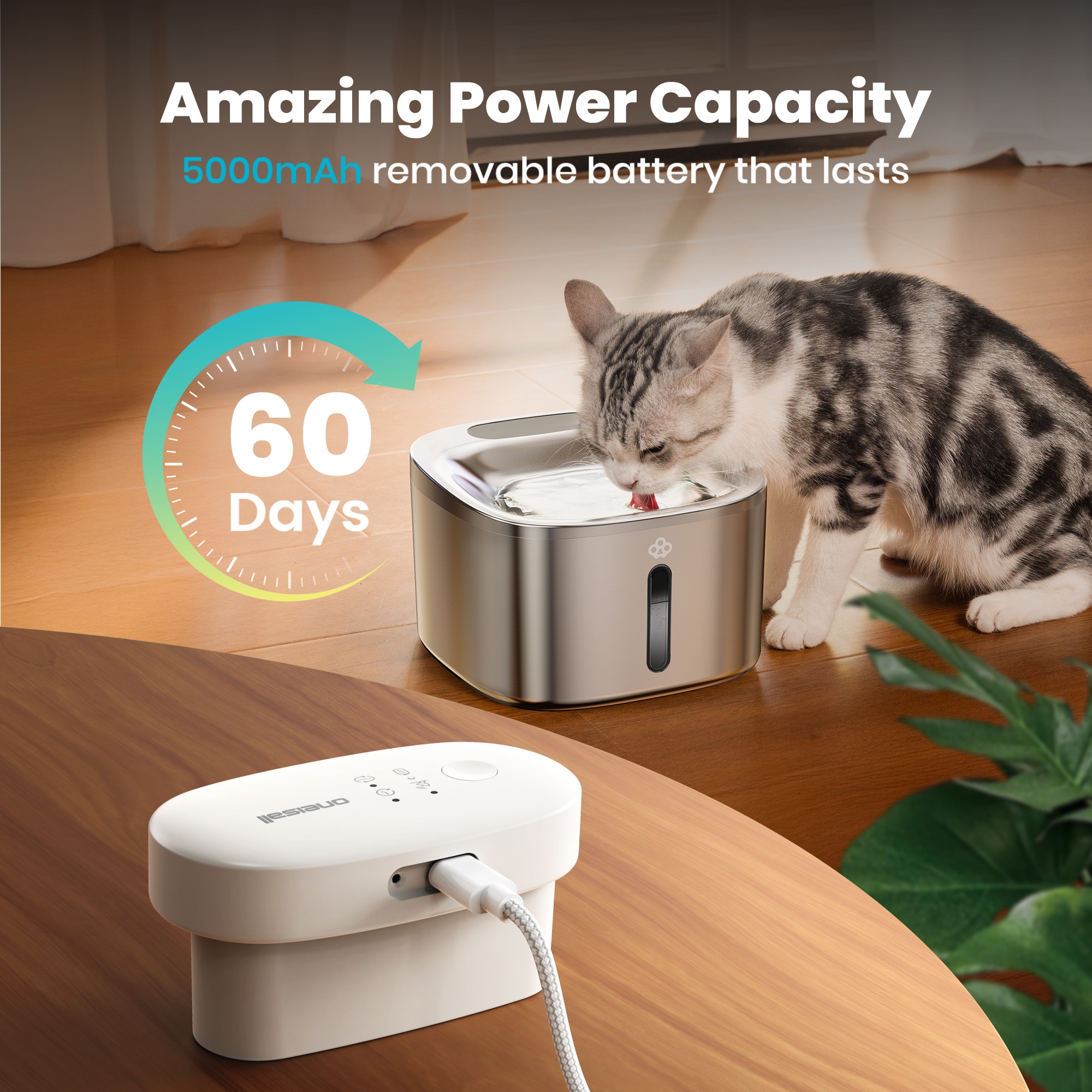 best cat litter box for attractant World's Best Multiple Cat Clumping Formula Cat Litter