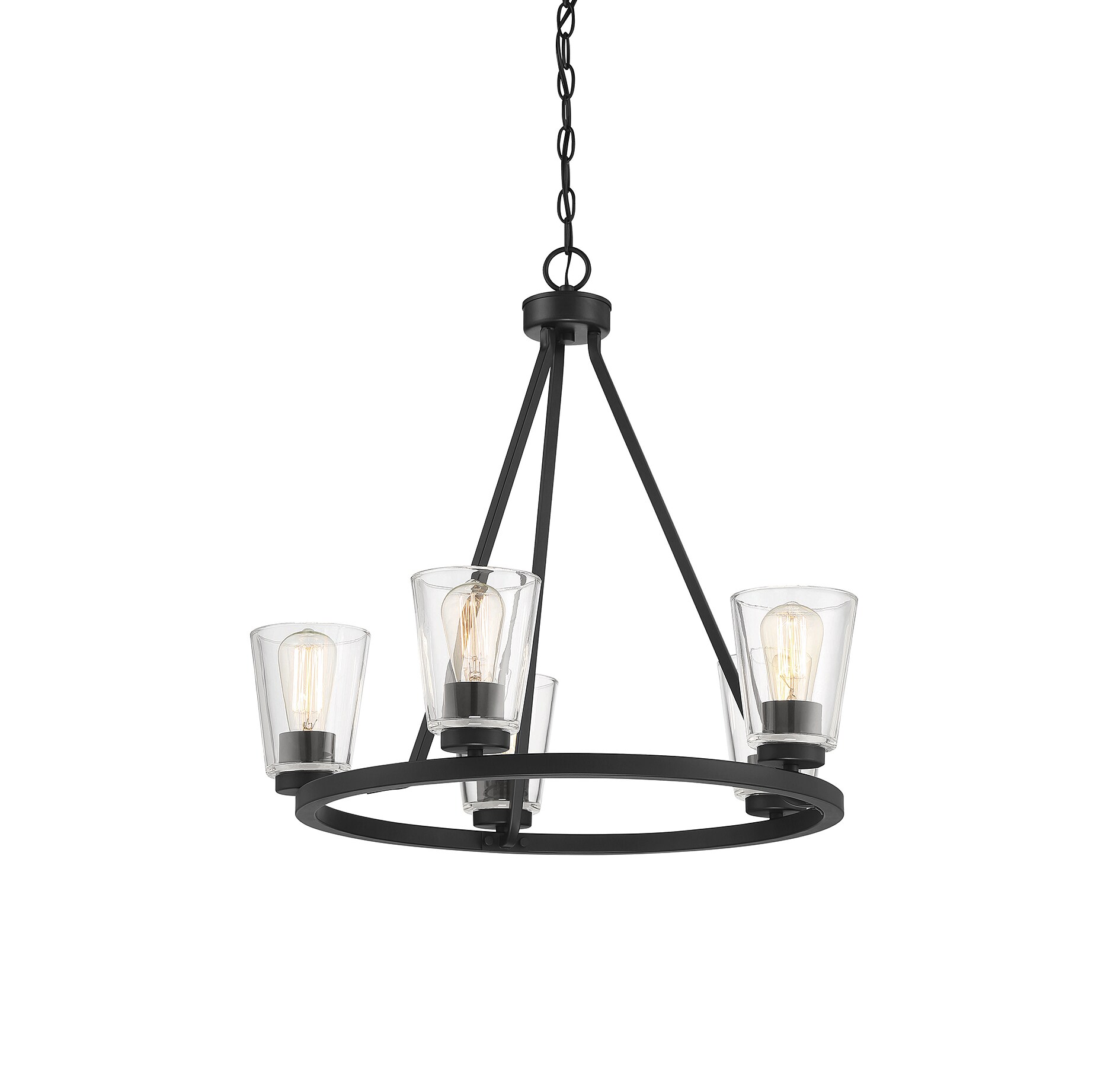 Calhoun Matte Black 5-Light Chandelier with Clear Glass Shades