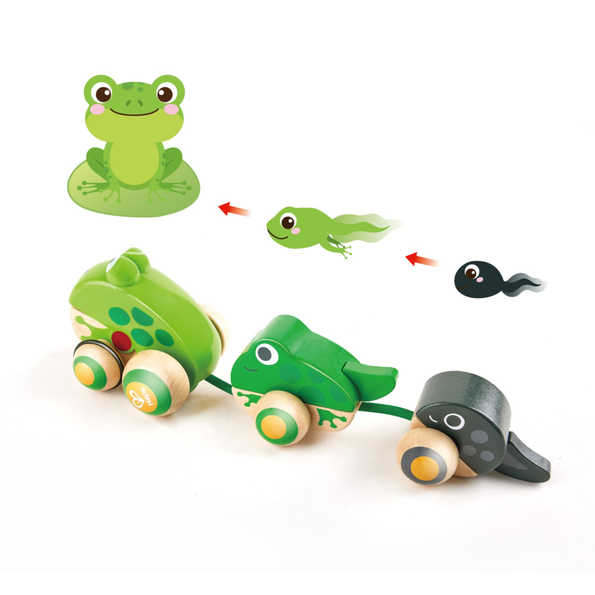 Hape G6943478034976 Play-Toys - View #2